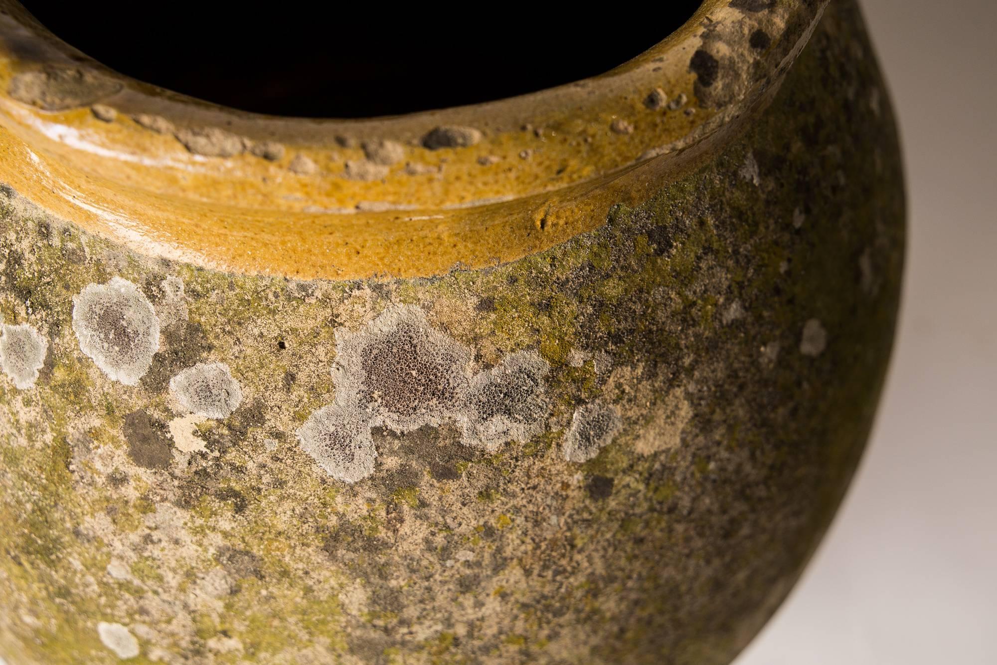 French Provincial Biot Terracotta Oil Jar with Ochre Glaze and Patination, Late 18th Century