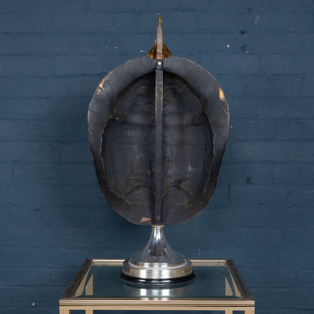 A stunning late 19th century “blond” turtle shell later mounted on a silver plated stand by the renowned designer Anthony Redmile. Anthony Redmile burst into the London interior design scene in the 1960s, producing some of the most eclectic items