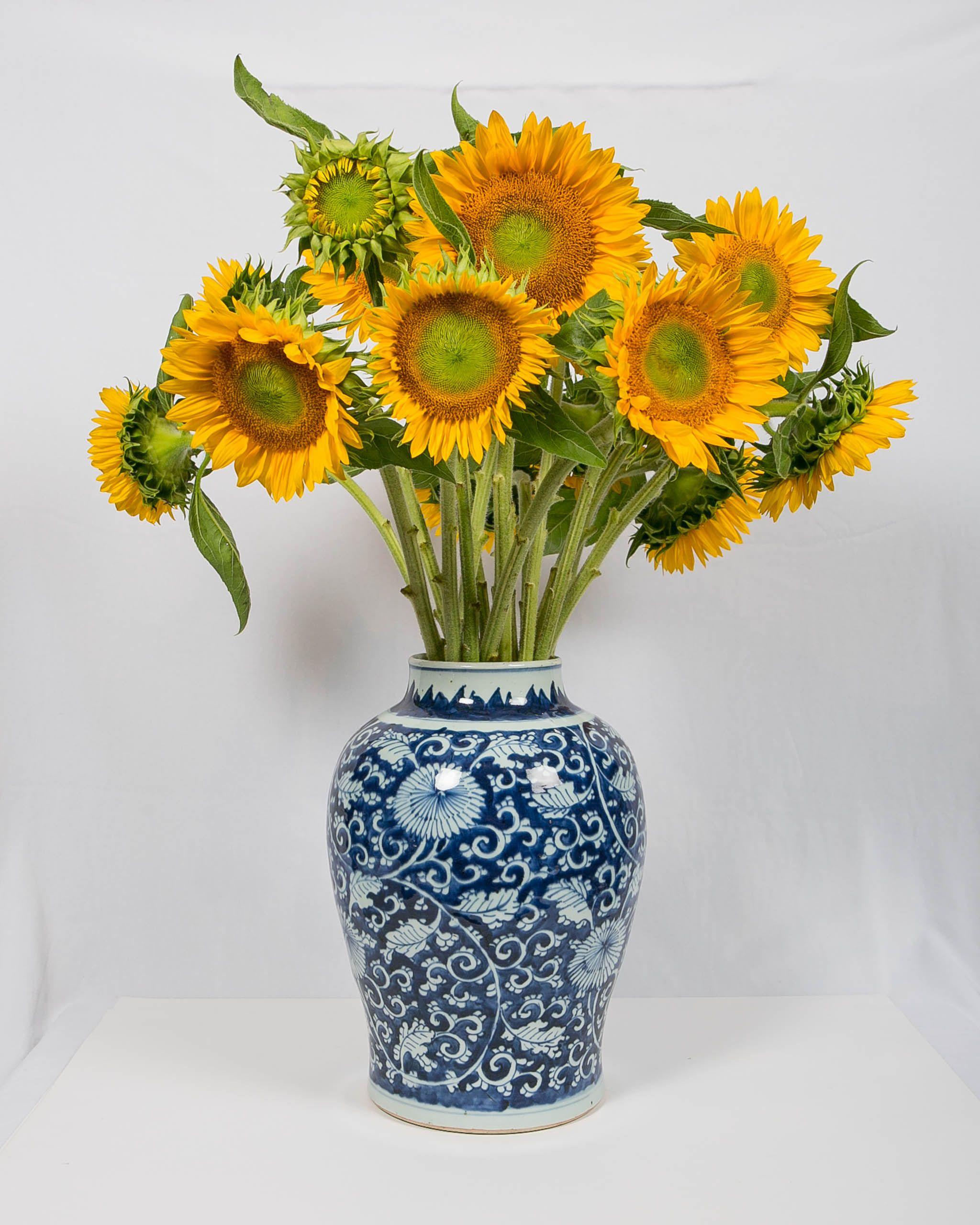 This Kangxi porcelain vase dates to the early 18th century. It is fully adorned with luxuriant, hand painted, floral scrolls and layered chrysanthemums against a vivid cobalt blue background. Painted in a spontaneous style, vigorous chrysanthemums