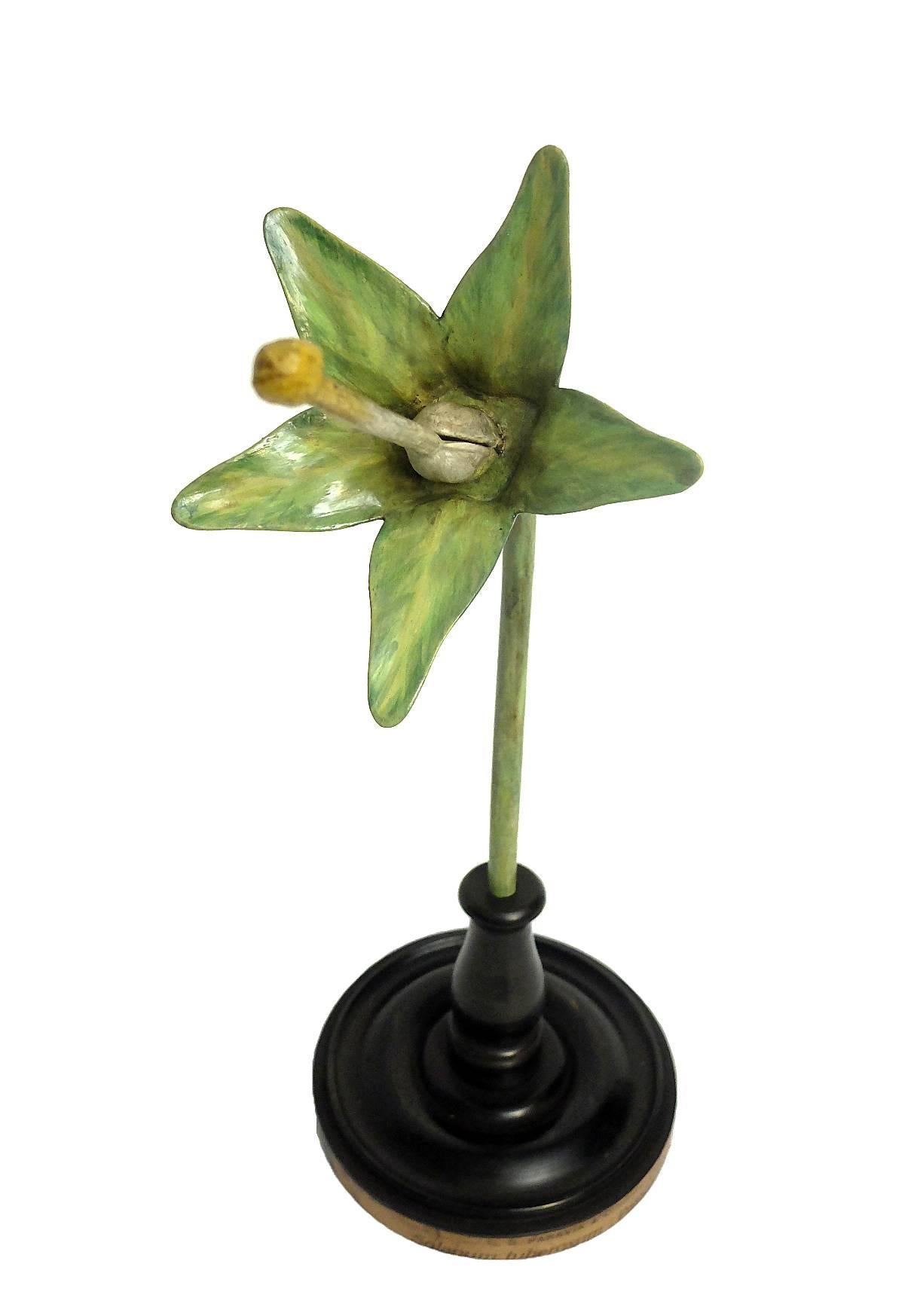 Late 19th Century Botanic Flower Model Scientific Specimen, Milan Paravia, circa 1900