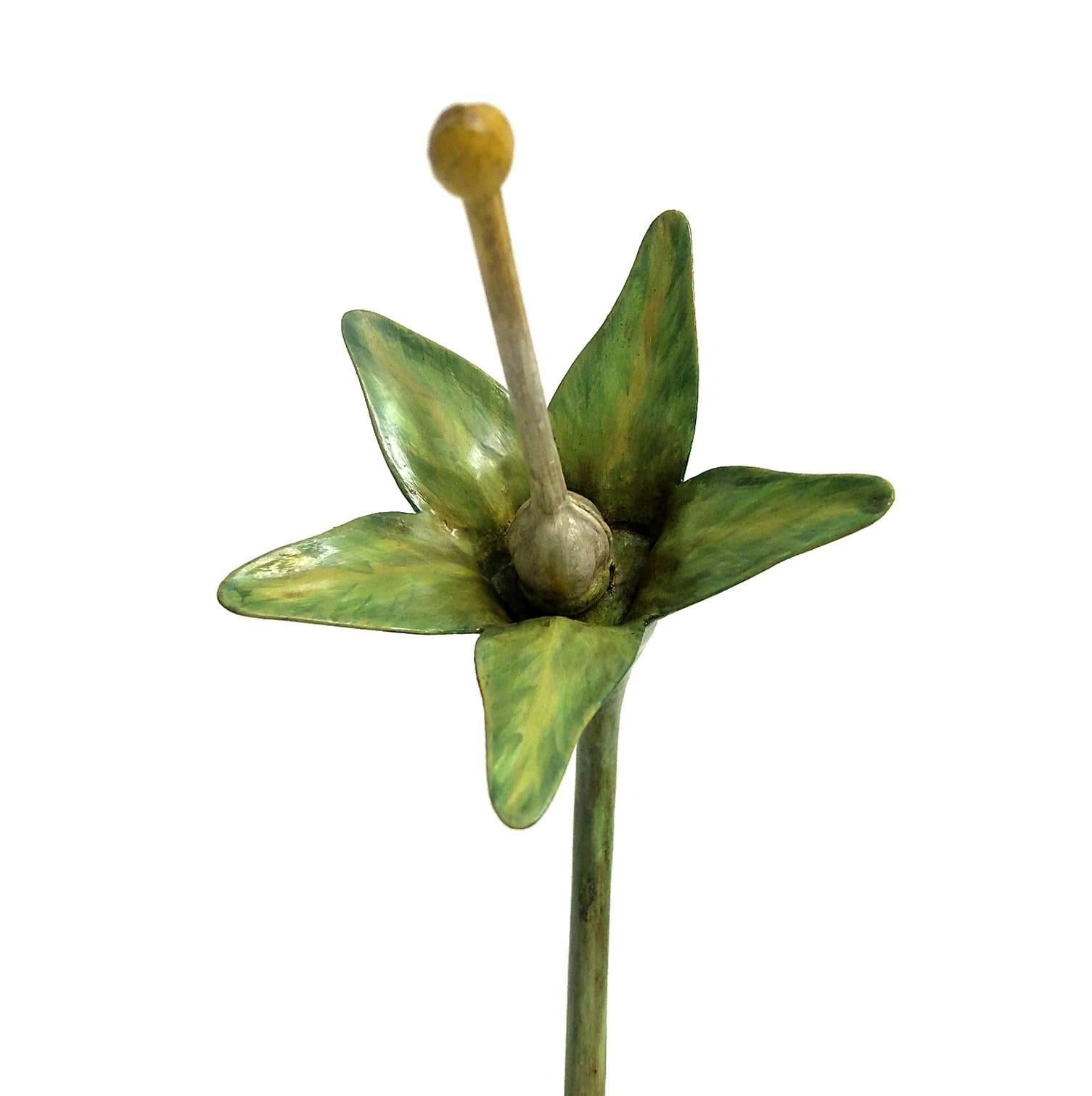 Botanic Flower Model Scientific Specimen, Milan Paravia, circa 1900 1