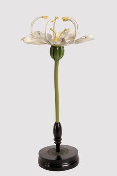 A botanic model Brendel, Germany 1900.