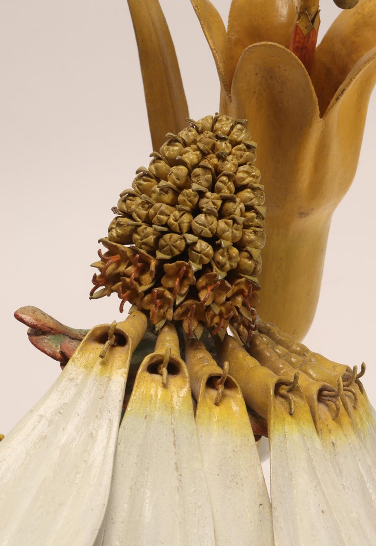Botanic Model Brendel, Germany 1900 at 1stDibs