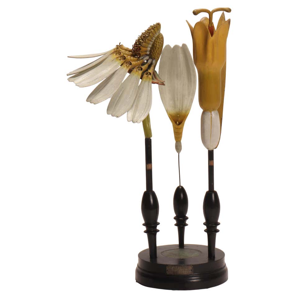 Three Victorian Shellwork Flower Arrangements at 1stDibs