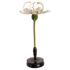 A botanic model Brendel, Germany 1900.