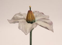 Botanic Model, Italy 1900