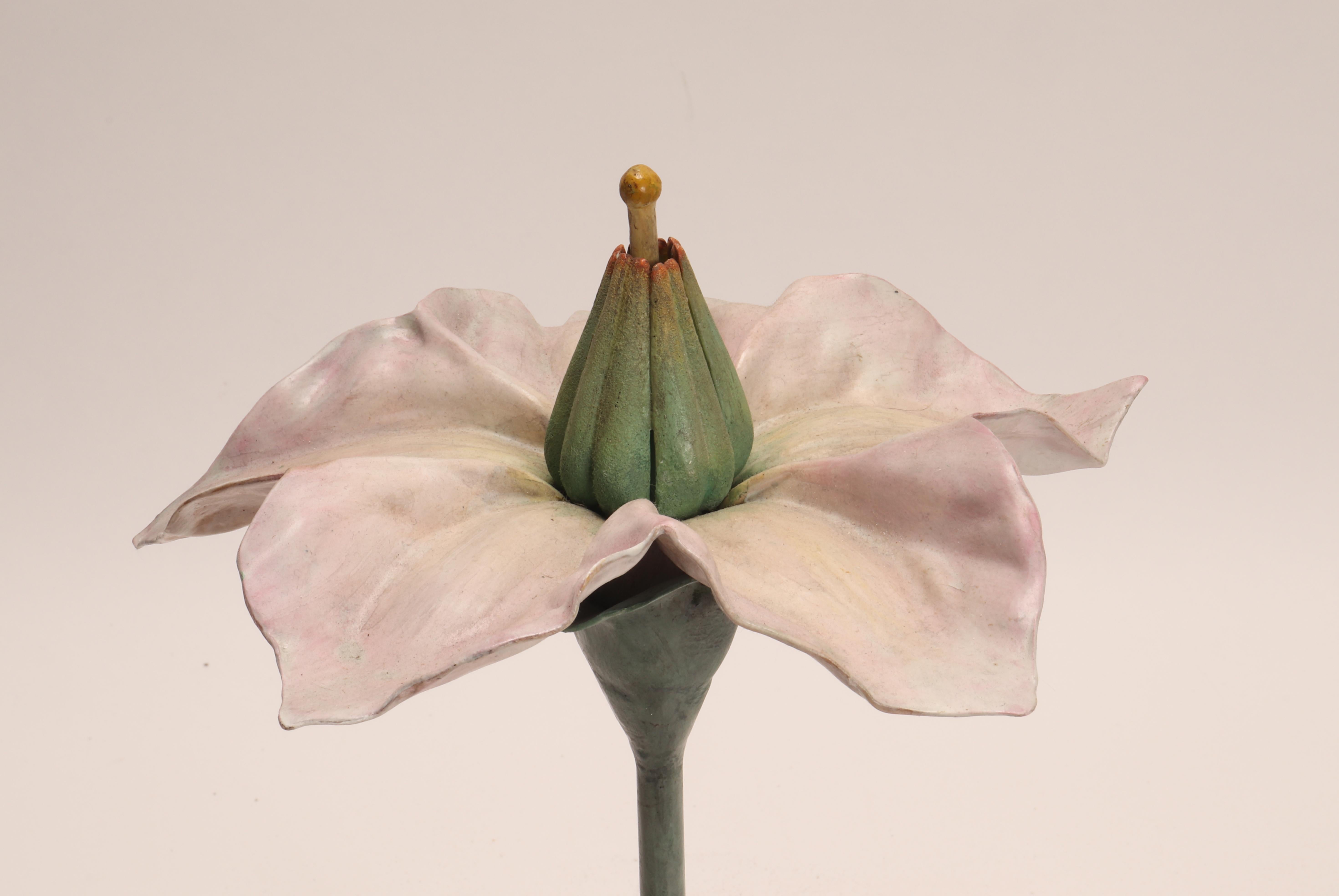 A botanic didactical model, depicting a Solarum Tuberosum flower pale pink color made out of papier machè, plaster and wood hand painted. Extremely detailed. Paravia, Milan, Italy 1900 ca.
These botanical models were used in schools to show students