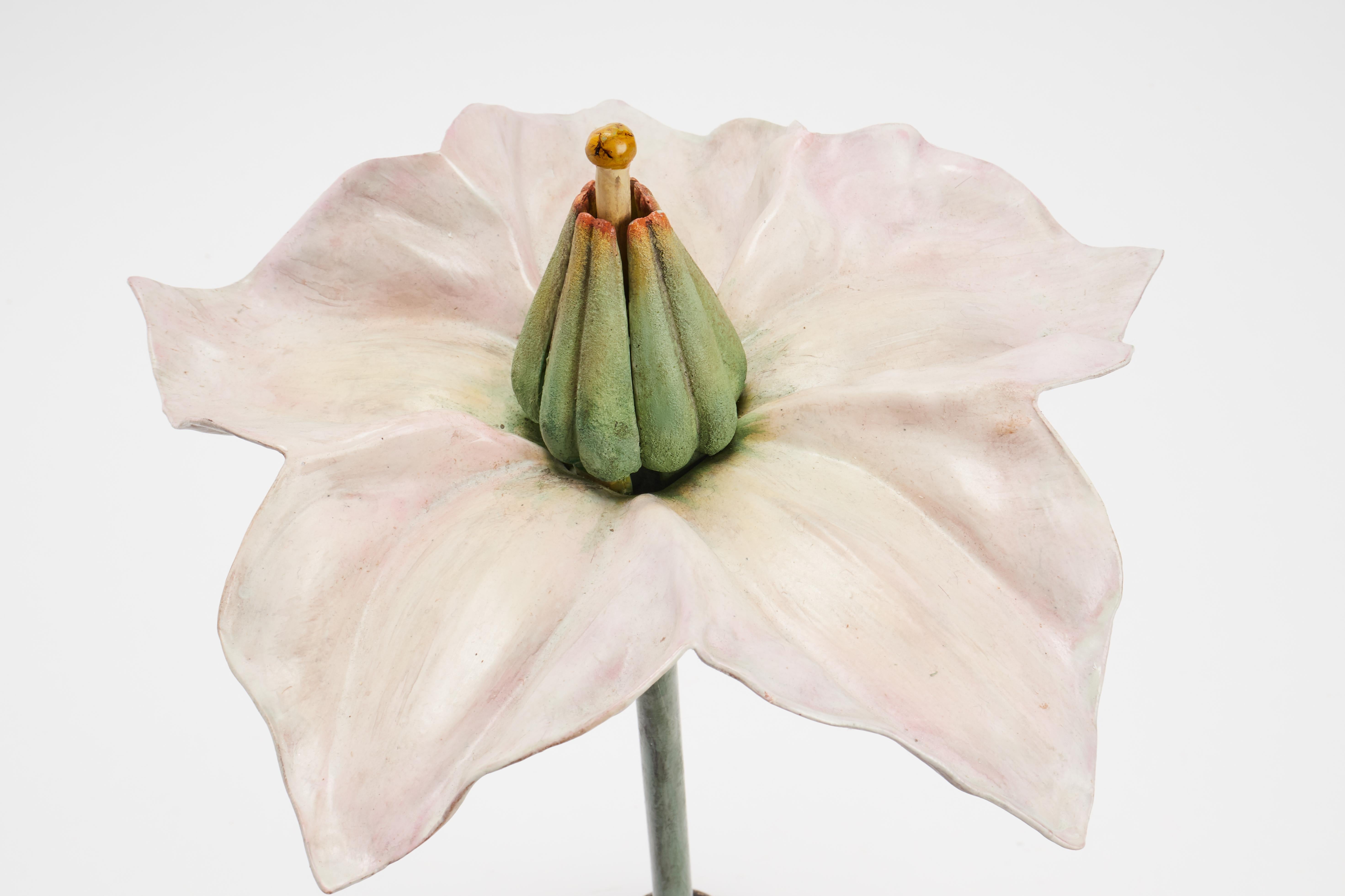European Botanic Model, Italy, 1900