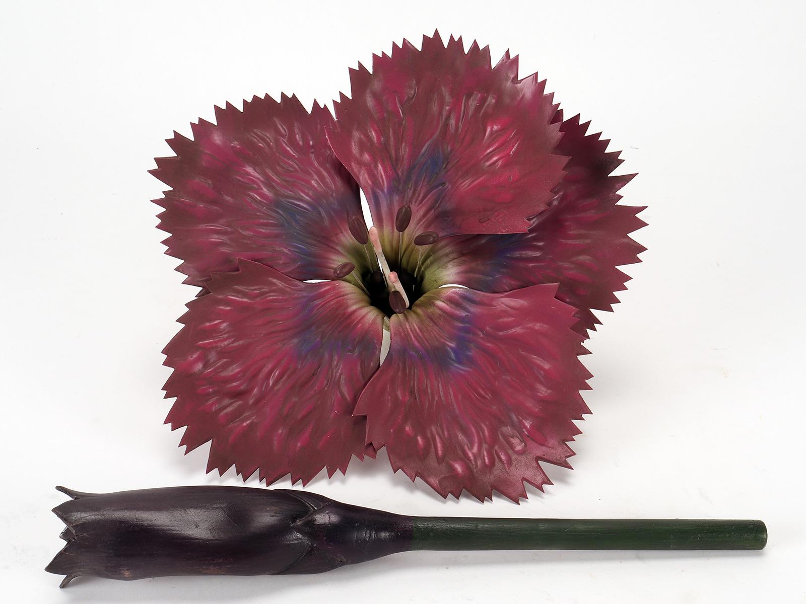 Botanic Model of a Carnation Flower, Paravia Italy, 1940 For Sale 1