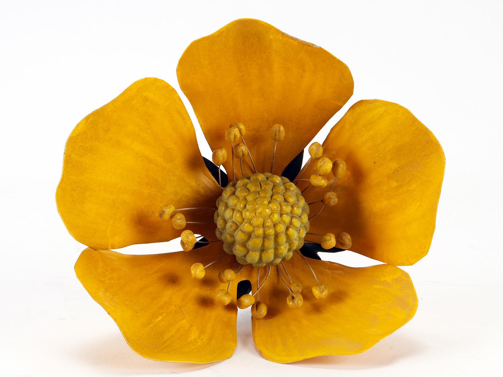 Paravia Botanic Model of a Dog Rose, Paravia Italy 1940 For Sale at 1stDibs