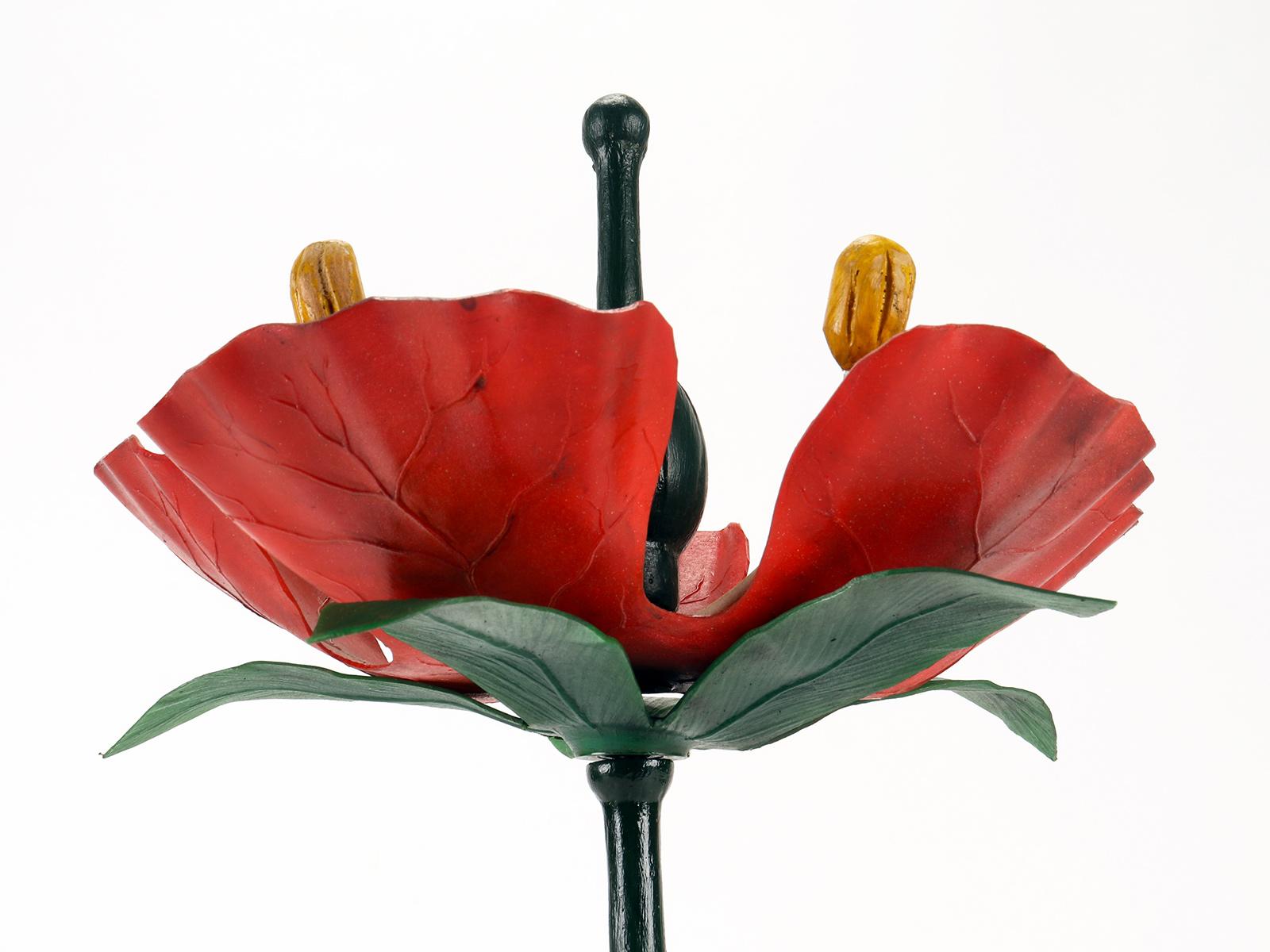 italien Modèle botanique d'une fleur de raisin rouge, Paravia, Italie, 1940 en vente