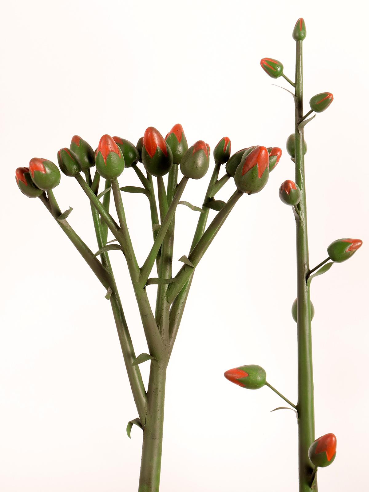 Botanic Model of Different Type of Inflorescences, Italy, 1930 For Sale 6