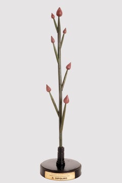 A botanic model of inflorescence, Flower Head by Paravia. Milan, Italy 1930.
