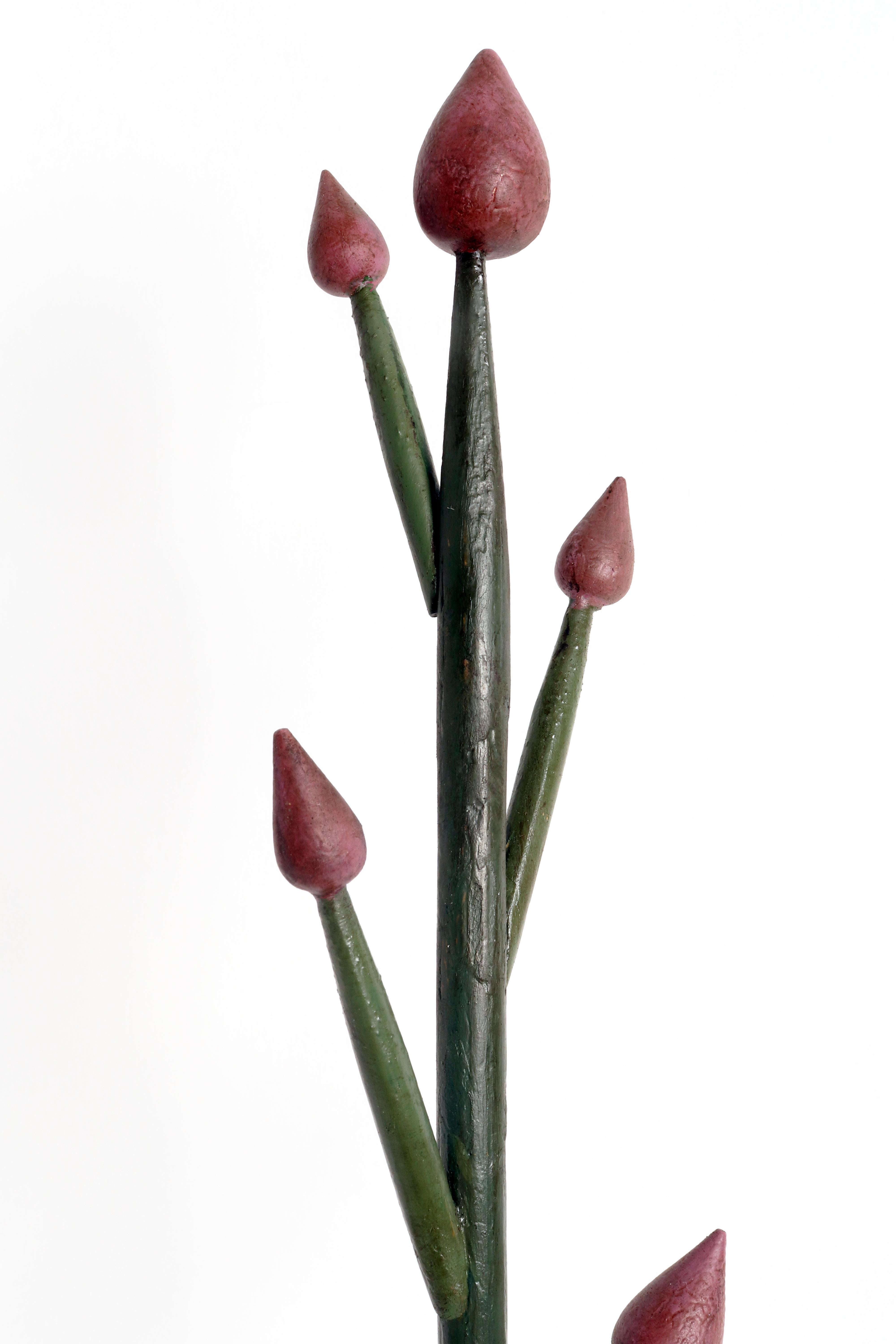Italian Botanic Model of Inflorescence, Flower Head, Italy, 1930 For Sale