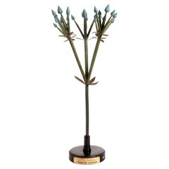 Un modello botanico di infiorescenza, l’“Ombrello” composto, realizzato da Paravia, Italia, 1930.