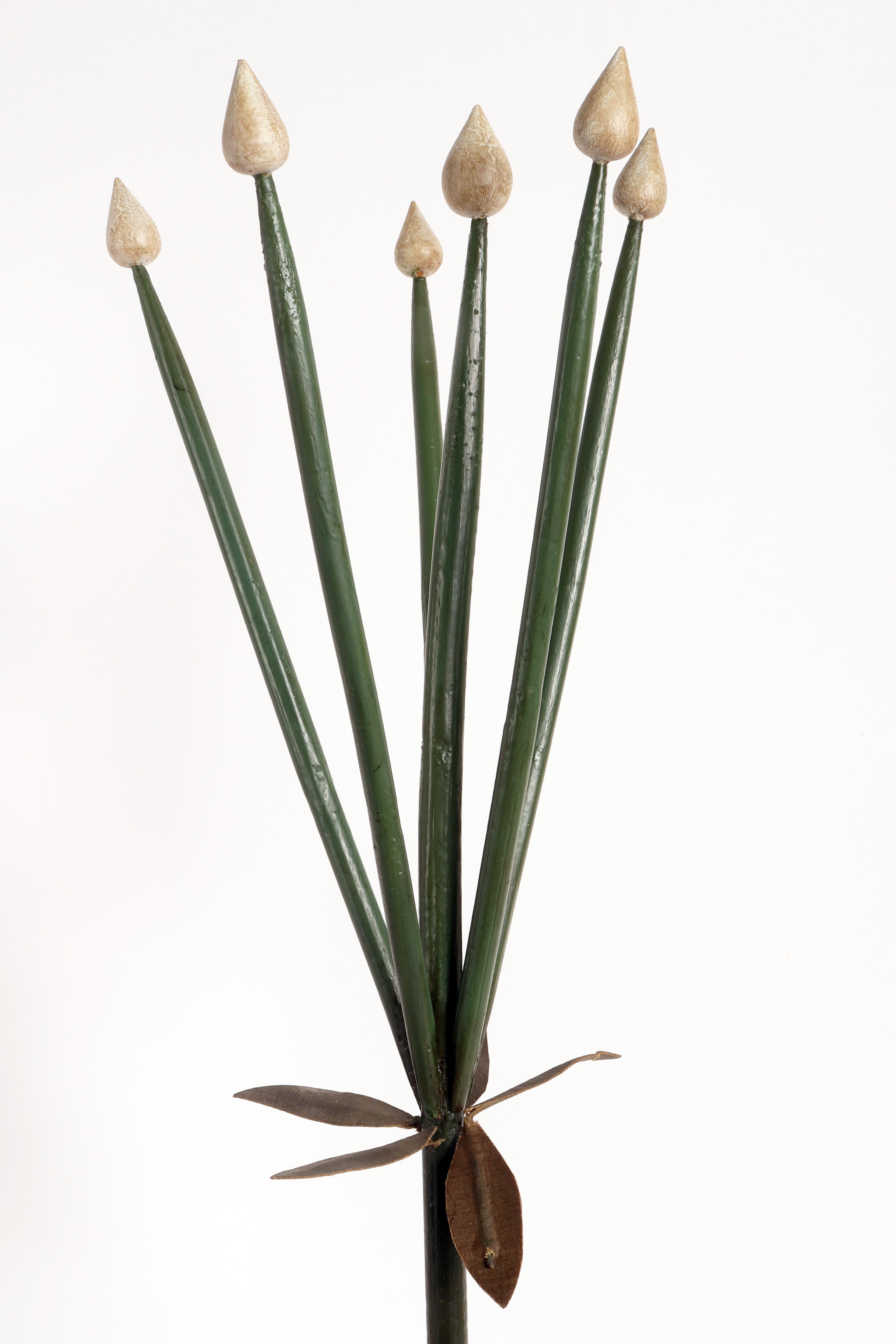 Italian A botanic model of inflorescence, the Simple Umbrella, Italy 1930 For Sale