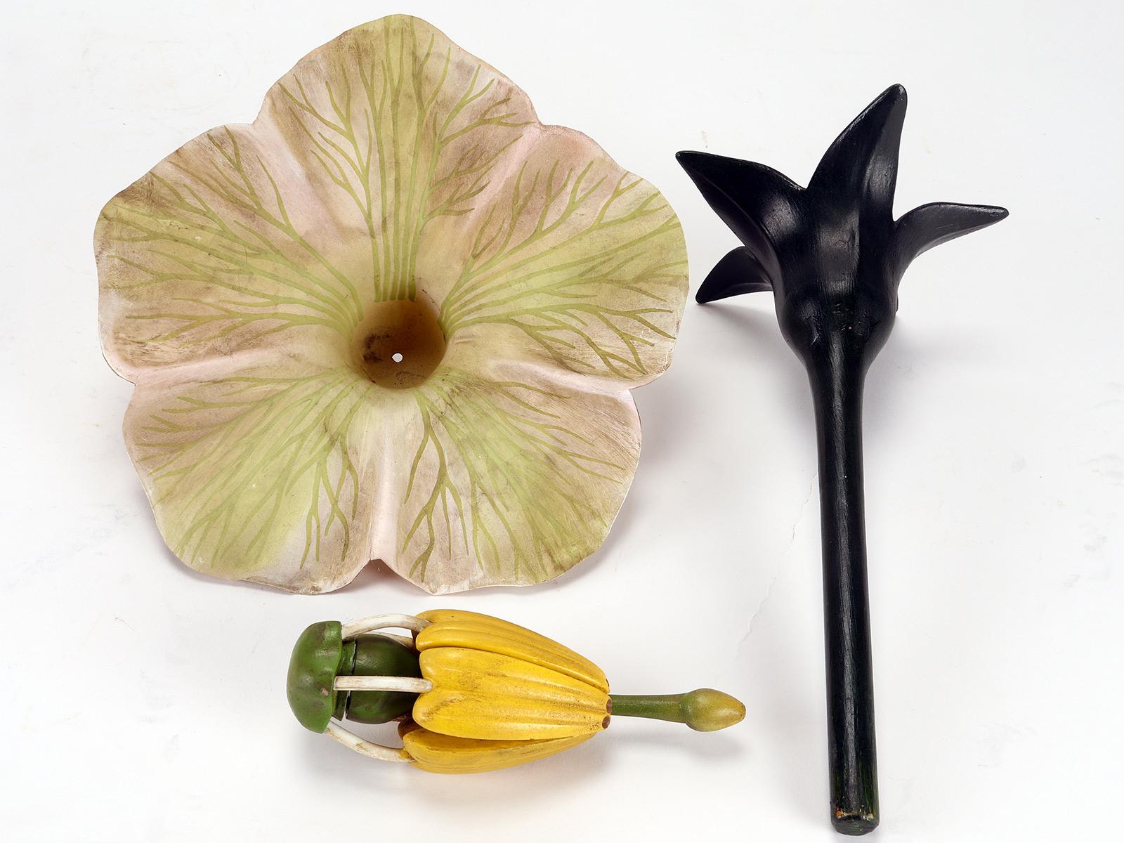 20th Century Botanic Model of Solarum Tuberosum Flower, Paravia, Italy, 1940 For Sale