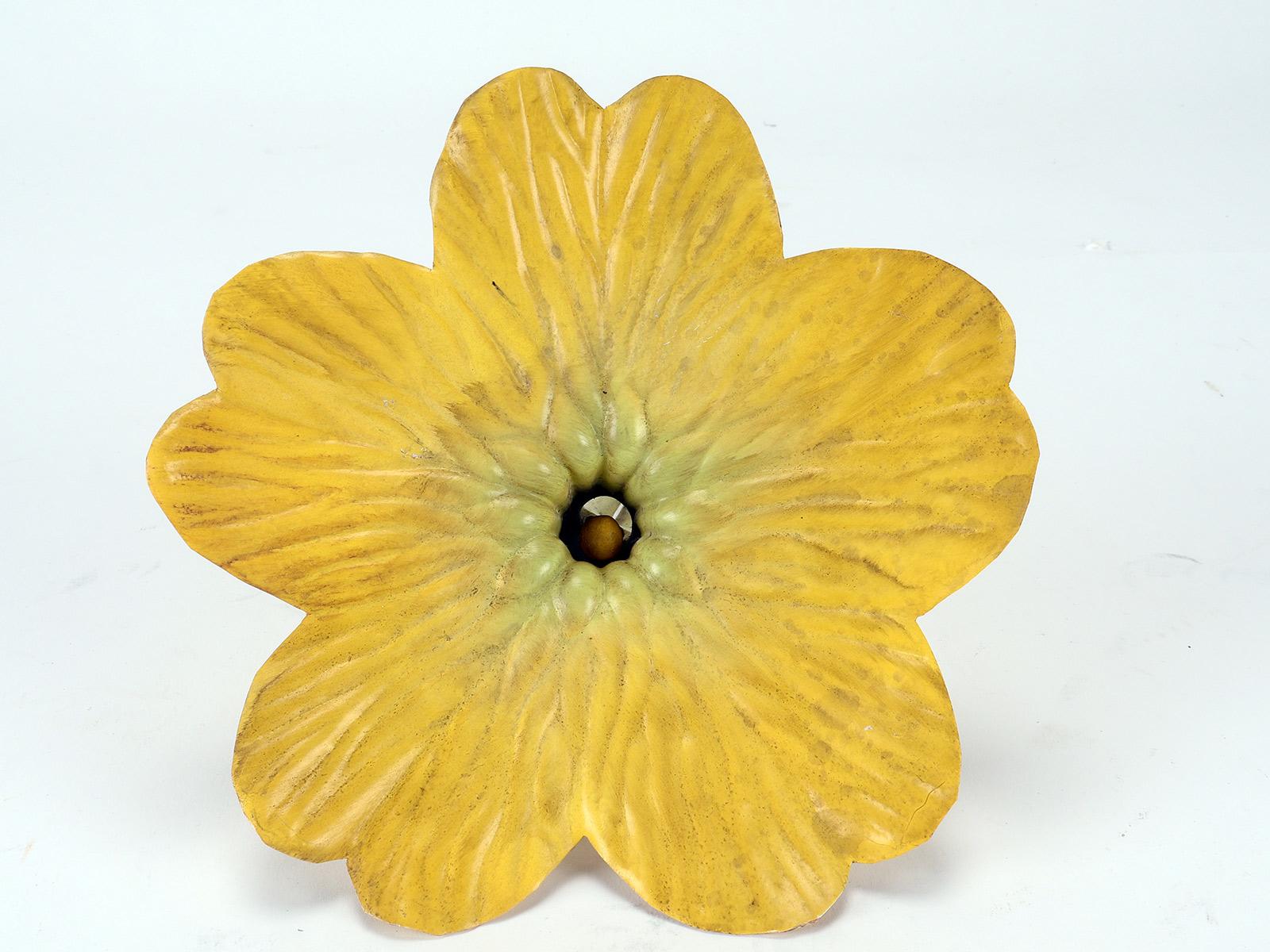 Botanic Modelof a Primrose Flower, Paravia, Italy, 1940 For Sale 2