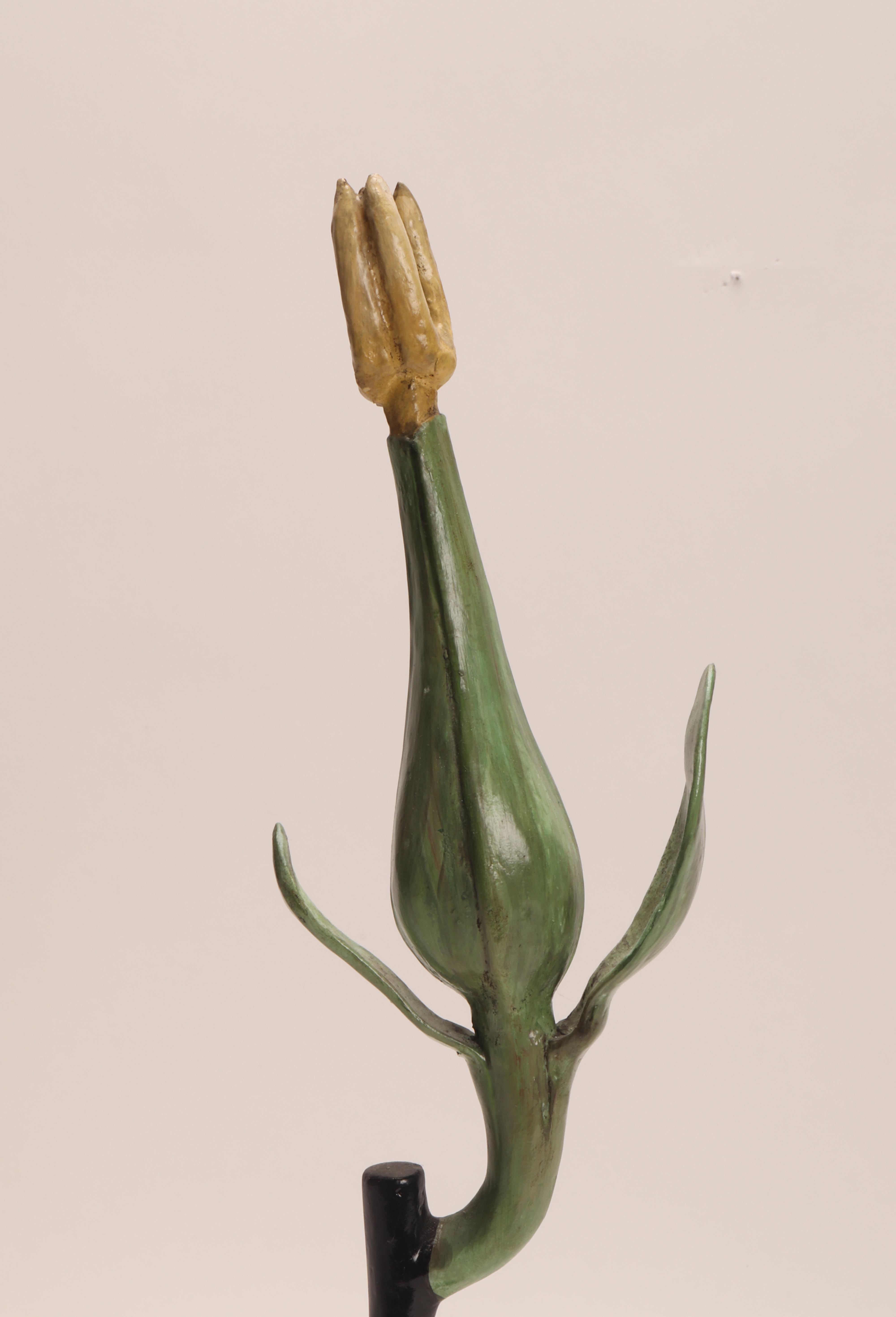 Ein botanisch-didaktisches Exemplar, das eine Vitis Vinifera-Blüte darstellt, blassgelb-grün, aus Pappmaché, Gips und Holz handbemalt. Äußerst detailliert. Paravia Mailand, Italien 1900 ca. Diese botanischen Modelle wurden in Schulen verwendet, um