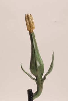 Specimen scientifico botanico, Italia 1900