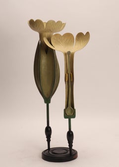 Spécimen scientifique botanique, Italie, 1900