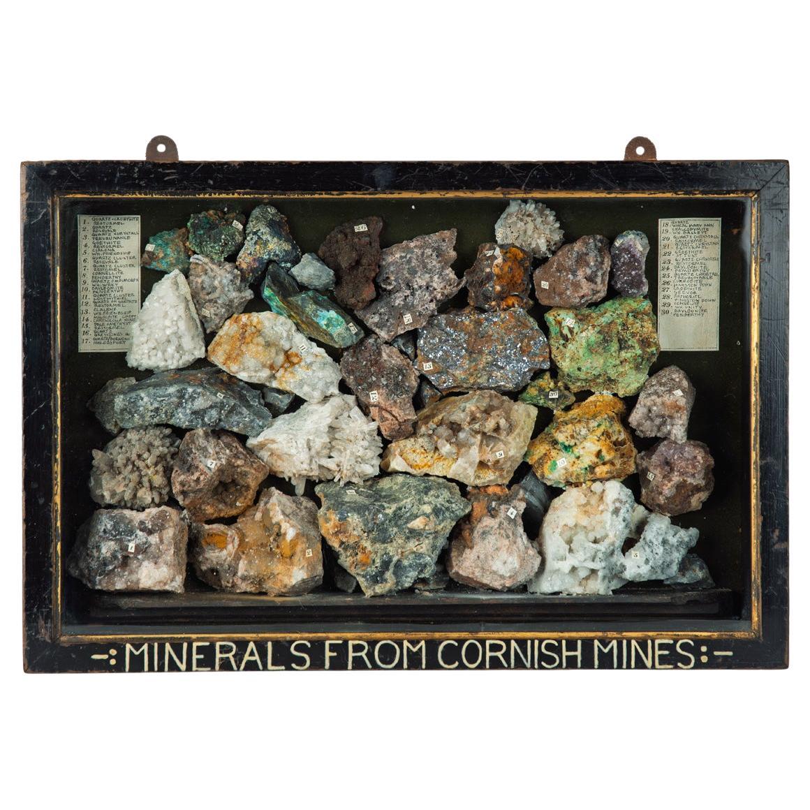 A boxed collection of 30 Cornish minerals For Sale