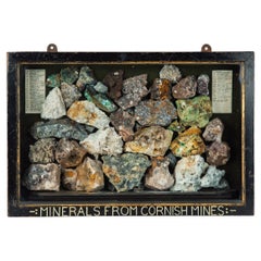Una colección en caja de 30 minerales de Cornualles