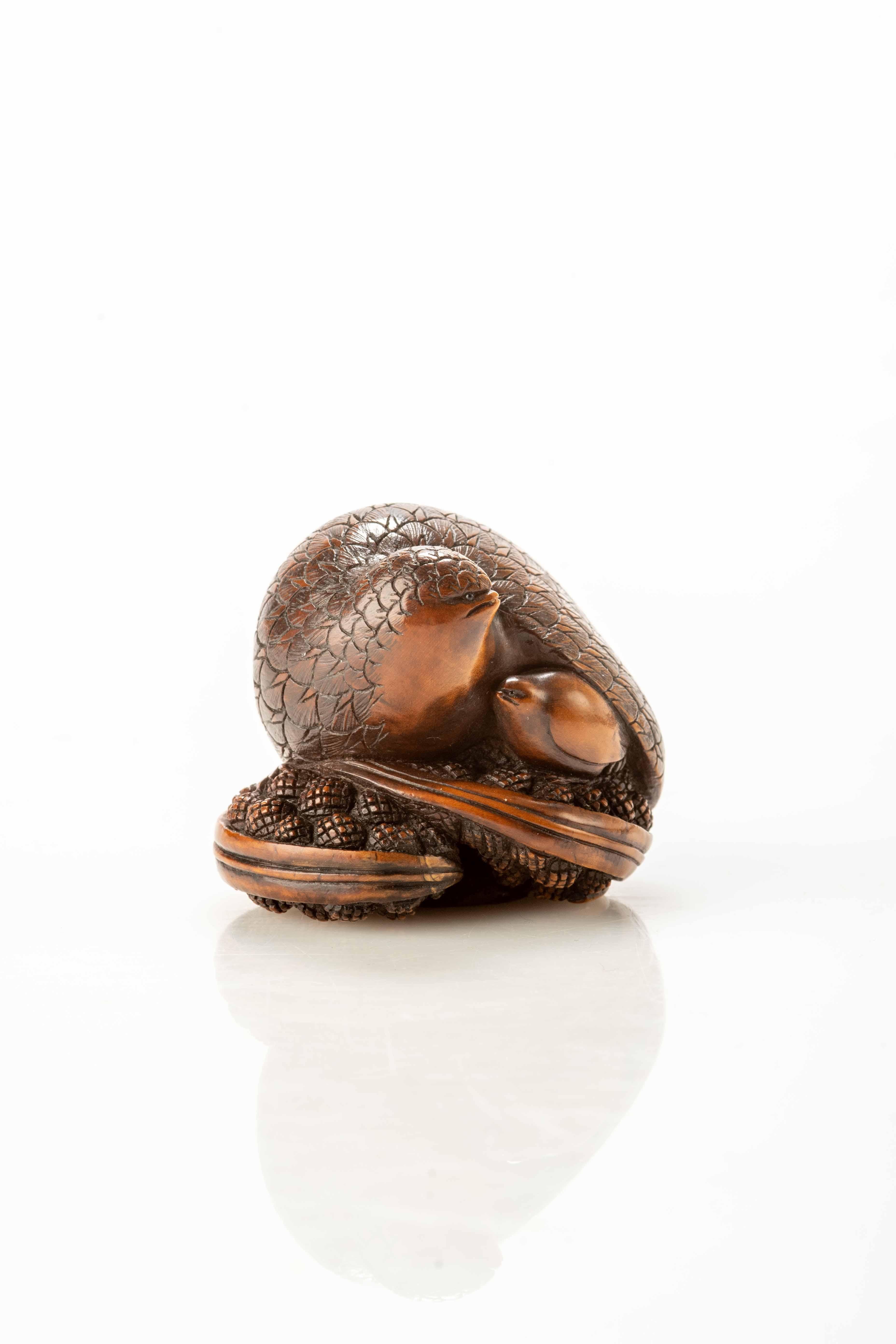 A boxwood netsuke depicting a pair of quails crouching on millet, with horned eyes. The mother lovingly protects her baby, creating an image of family affection in nature.

Signed under the base within an oval reserve.

Origin: Japan

Period: Edo