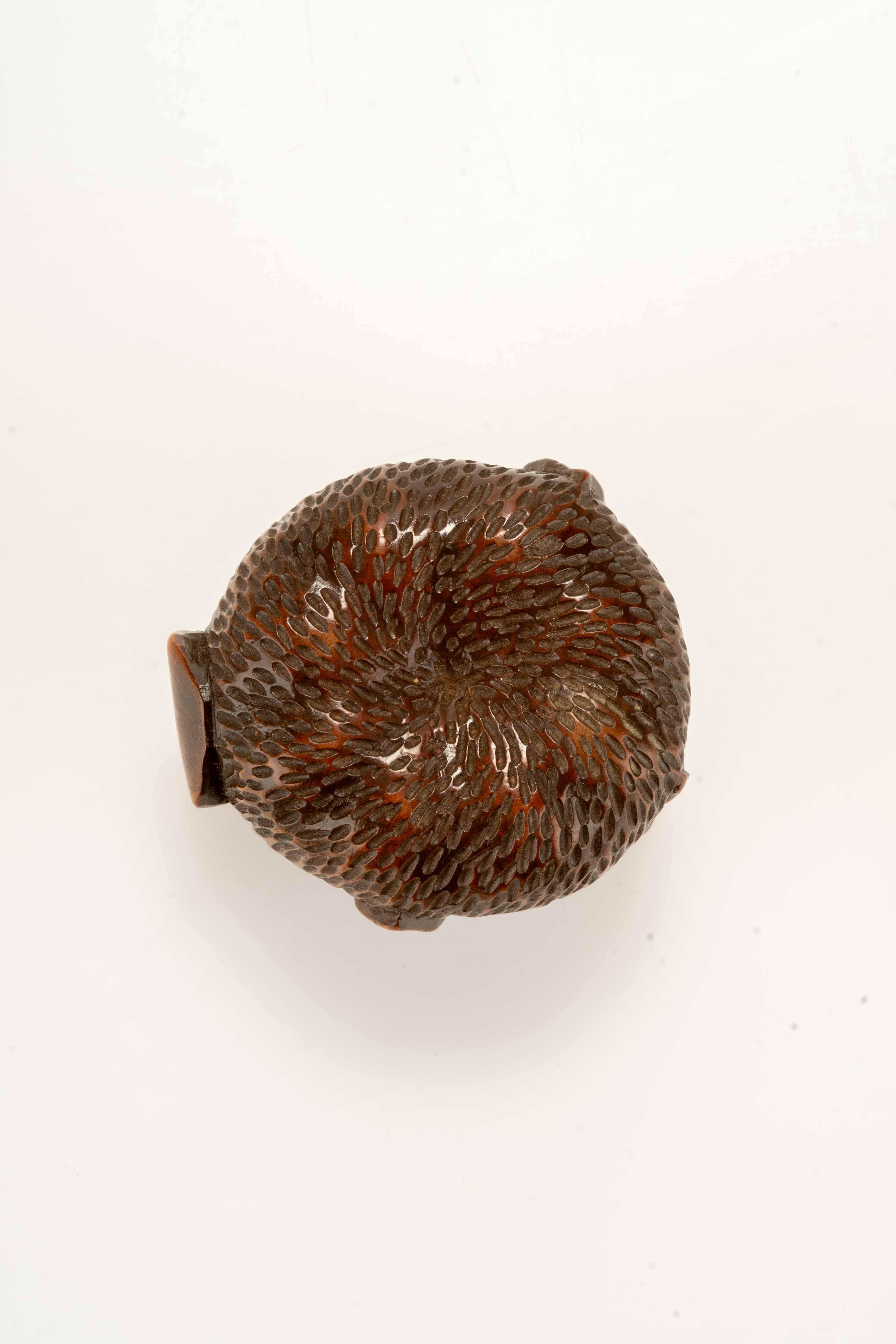 Hand-Carved A boxwood netsuke depicting a peeled mandarin For Sale