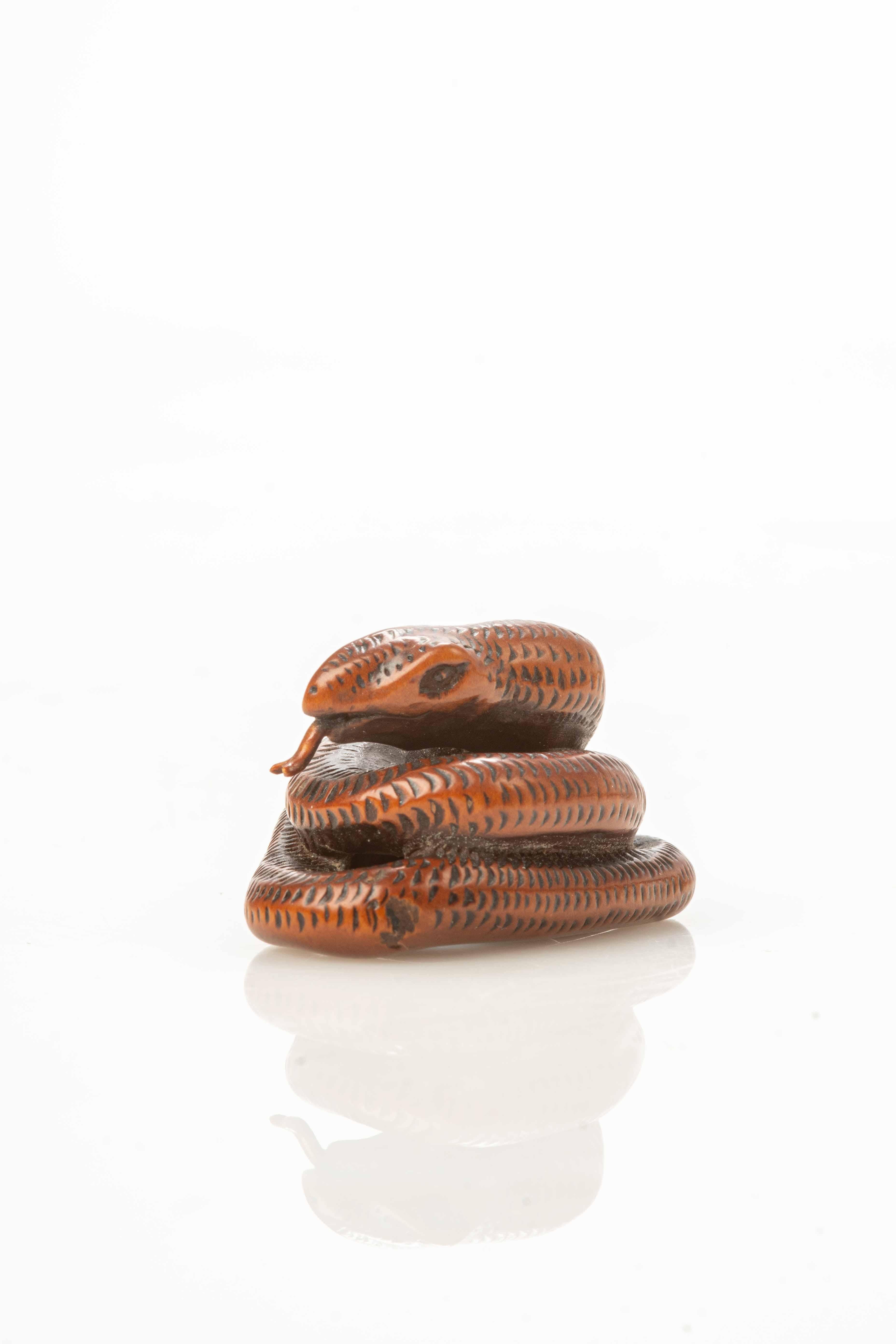 Boxwood netsuke depicting a snake coiled around itself.

Signature engraved under the base.

Origin: Japan

Period: Meiji late 19th century.

Dimensions: 4 x 3.5 x 2 cm.

State of conservation: Very good