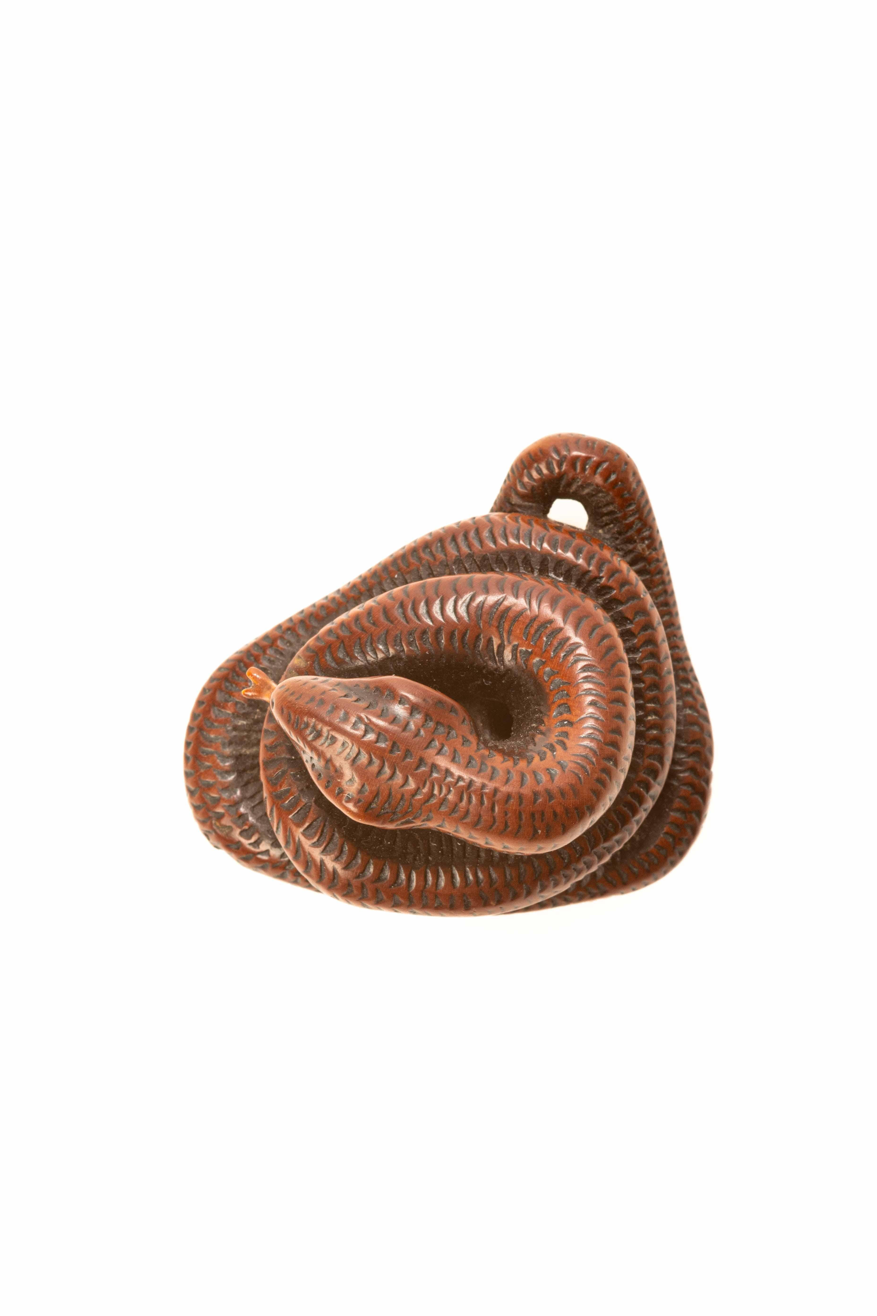 Carved A boxwood netsuke depicting a snake For Sale
