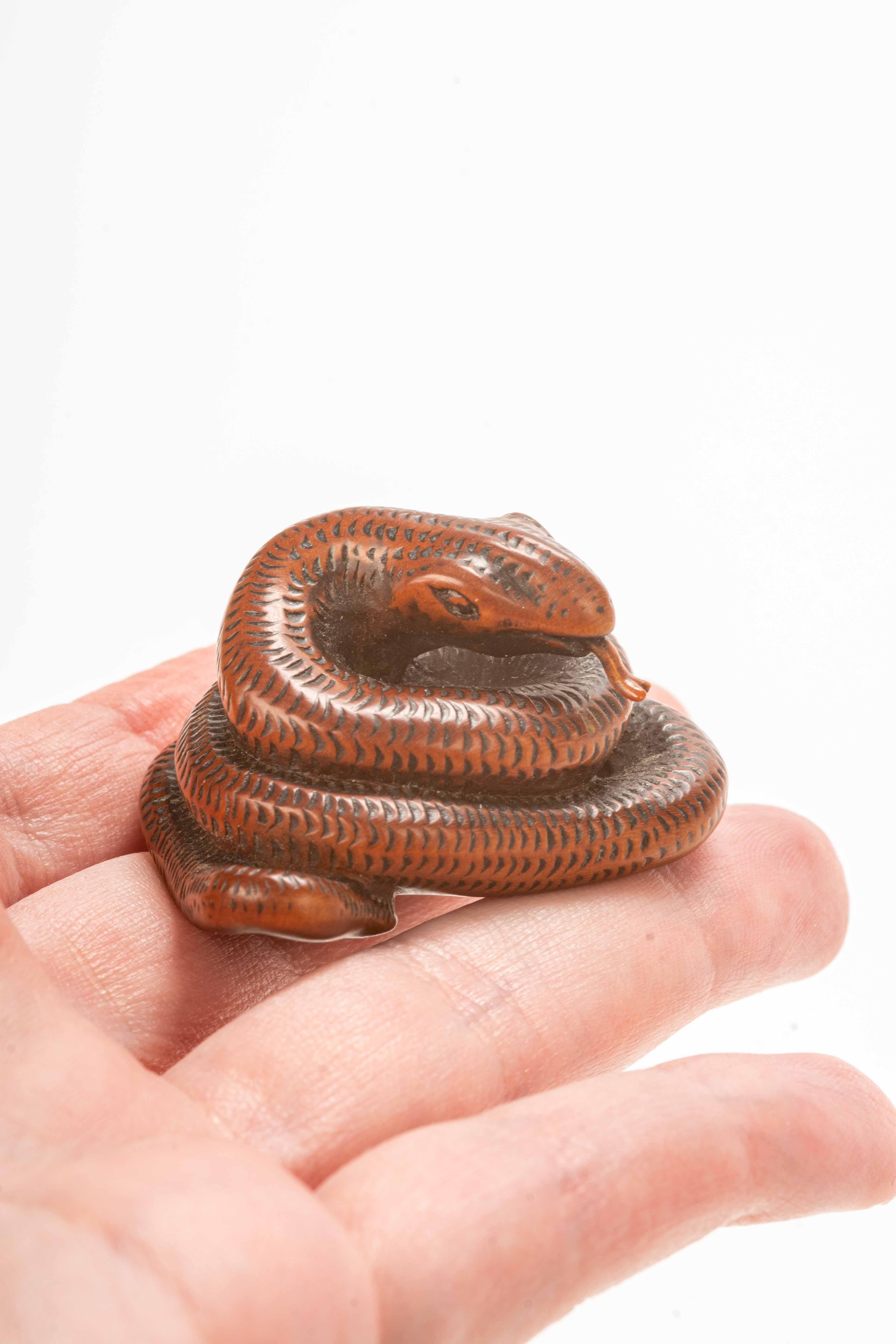 19th Century A boxwood netsuke depicting a snake For Sale