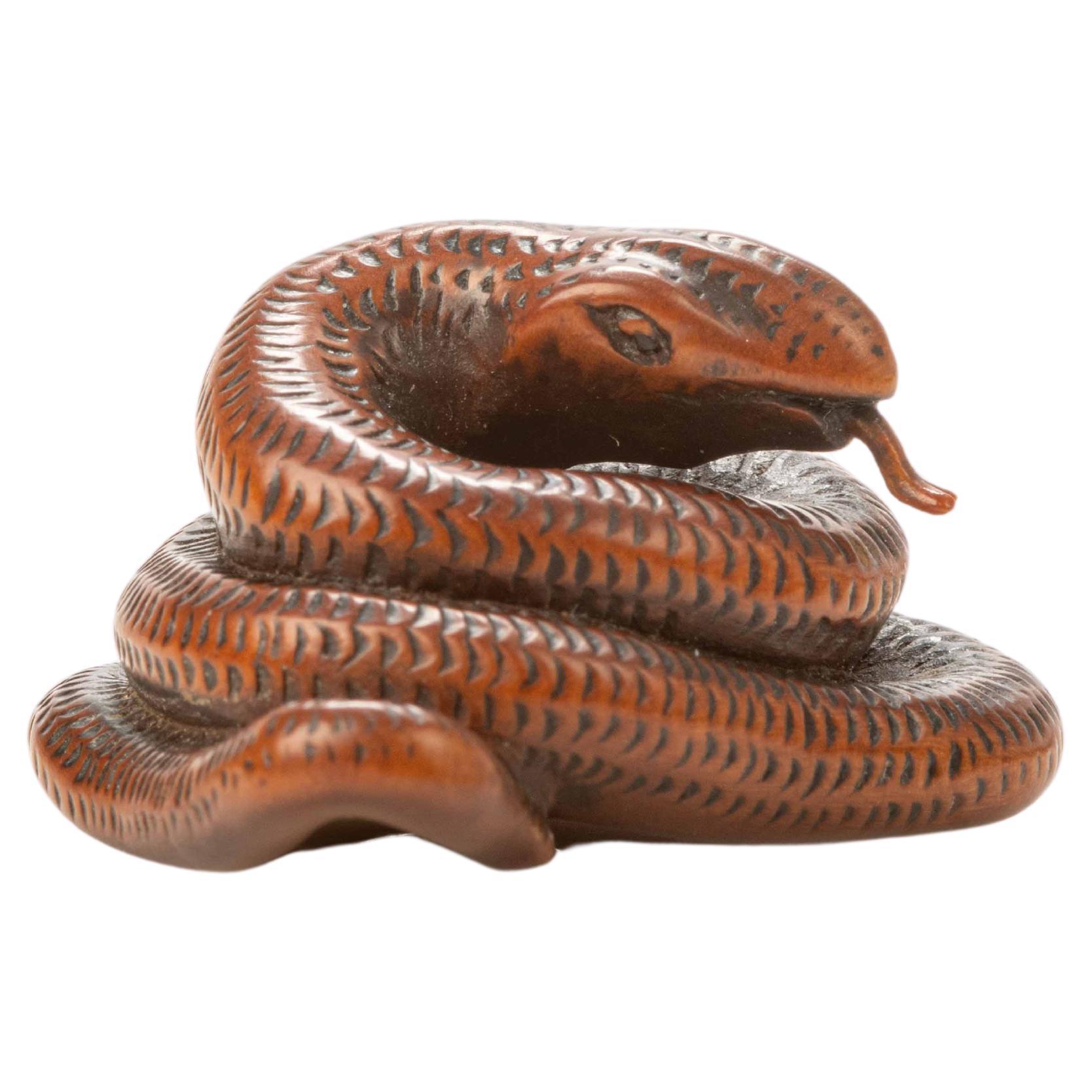 A boxwood netsuke depicting a snake For Sale