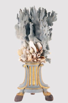 A branch of a light blue mother of pores with shells, Italy 1880.