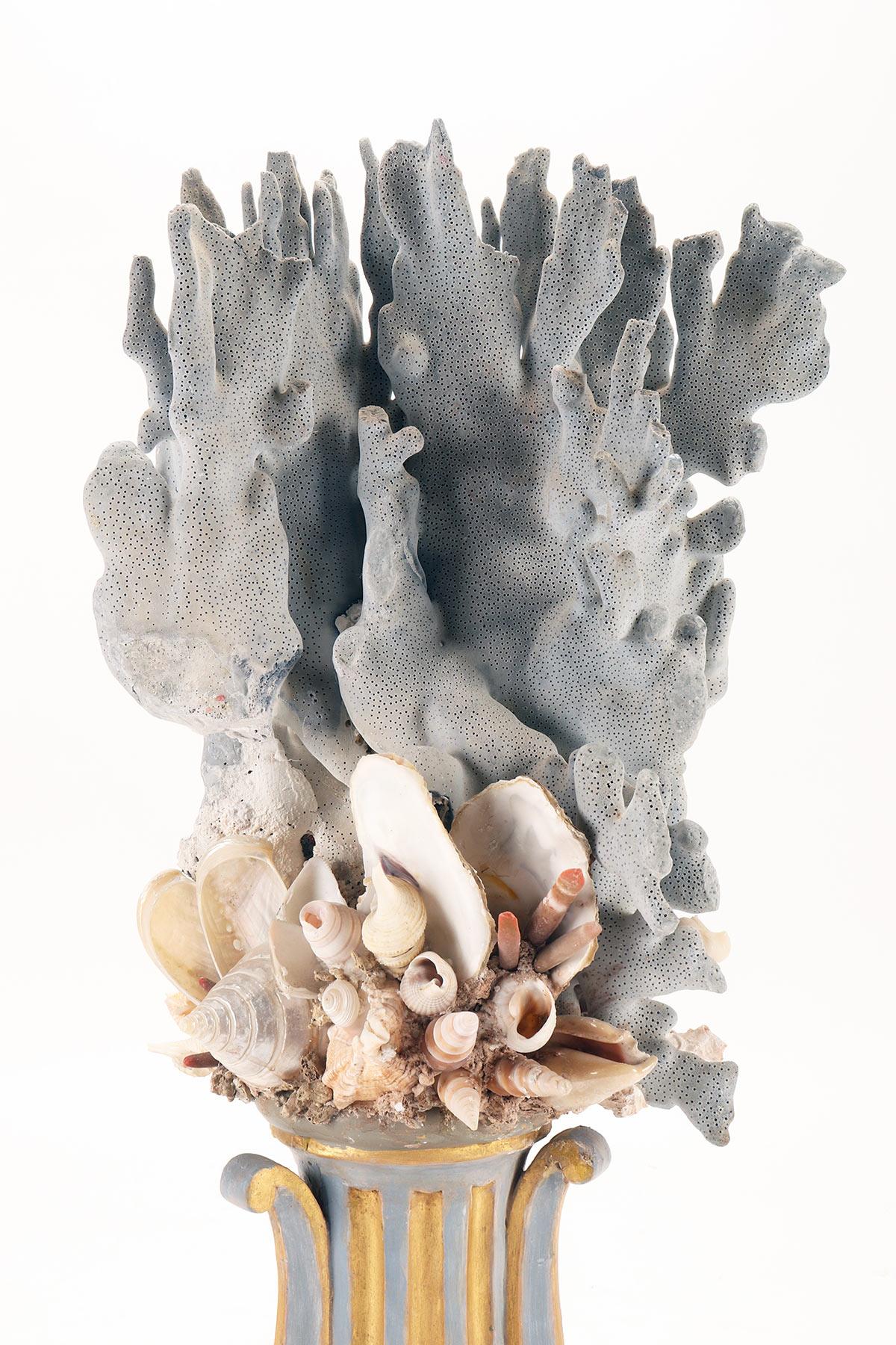 Coral A branch of a light blue mother of pores with shells, Italy 1880.  For Sale