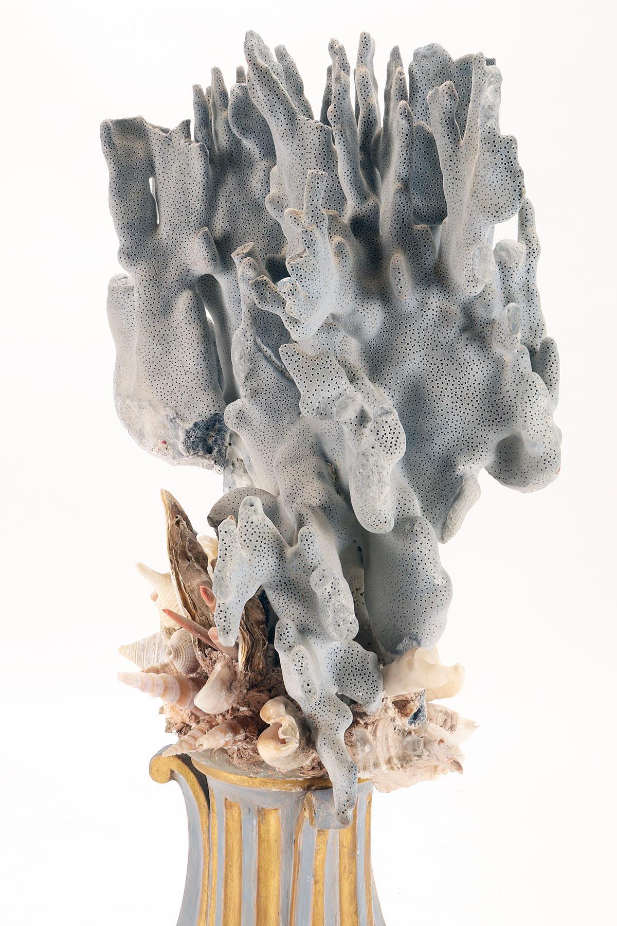 Ein Zweig einer hellblauen Porenmutter mit Muscheln, Italien 1880.  im Angebot 2