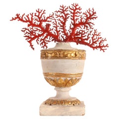 A branch of japanese red coral (Coralium Japonicum), Italy 1880.
