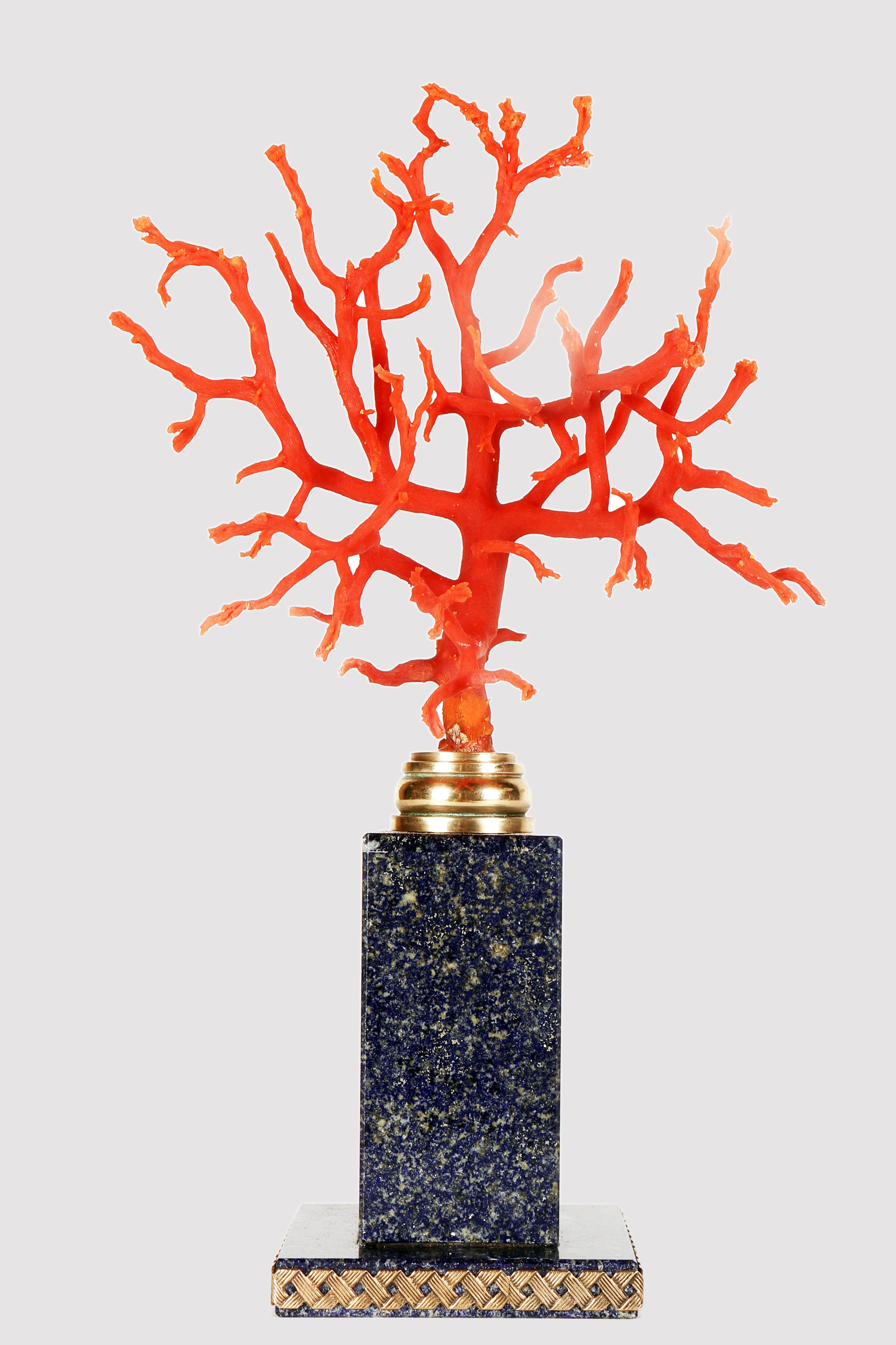 Branch of Mediterranean red coral (Corallium Rubrum), mounted on a square-shaped marble base, with a parallelepiped-shaped central body. The entire body is enriched by a mosaic of lapis lazuli slabs, with a bronze profile intertwined at the base.