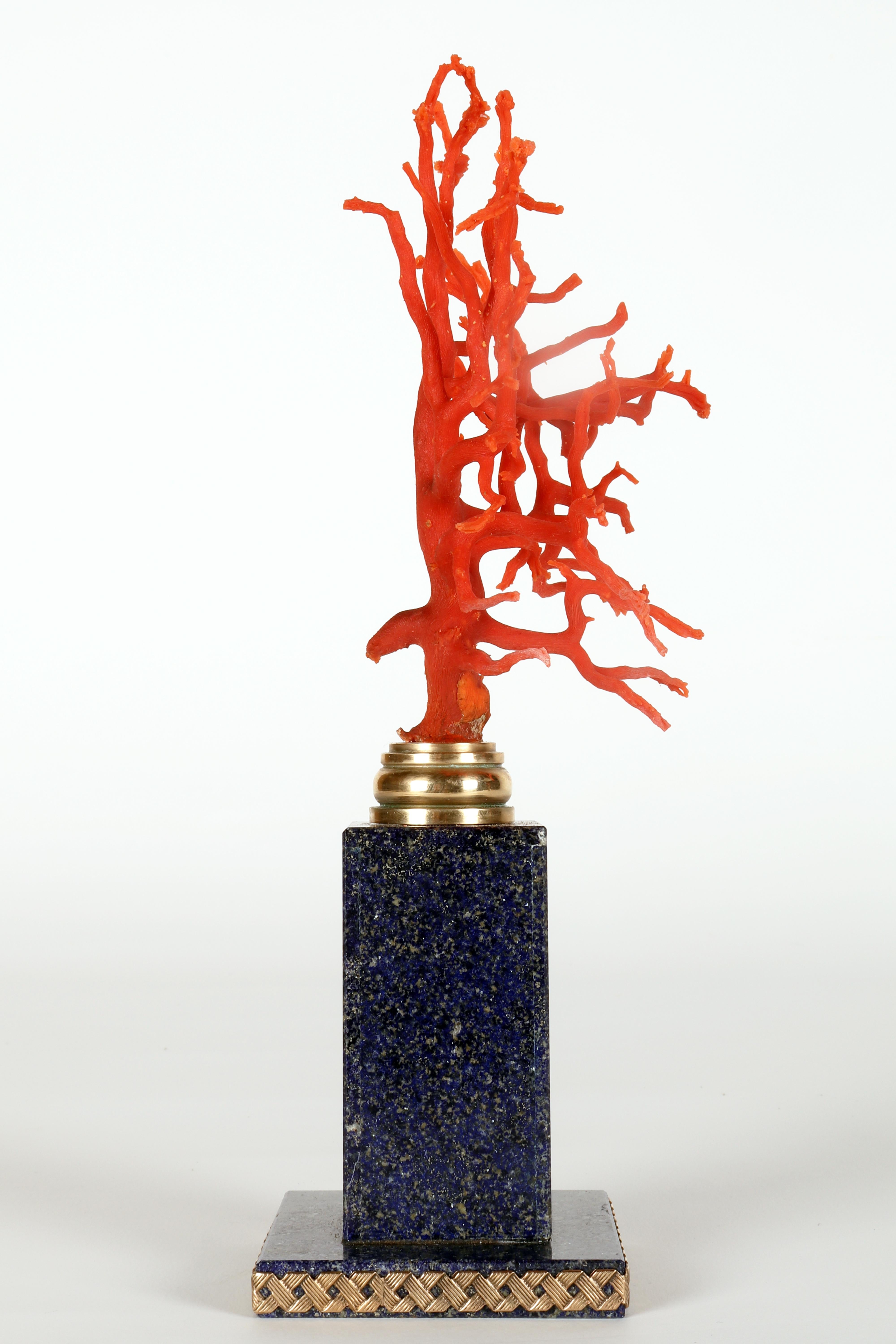Italian A branch of Mediterranean red coral on a lapis lazuli base, Italy 1880s. For Sale