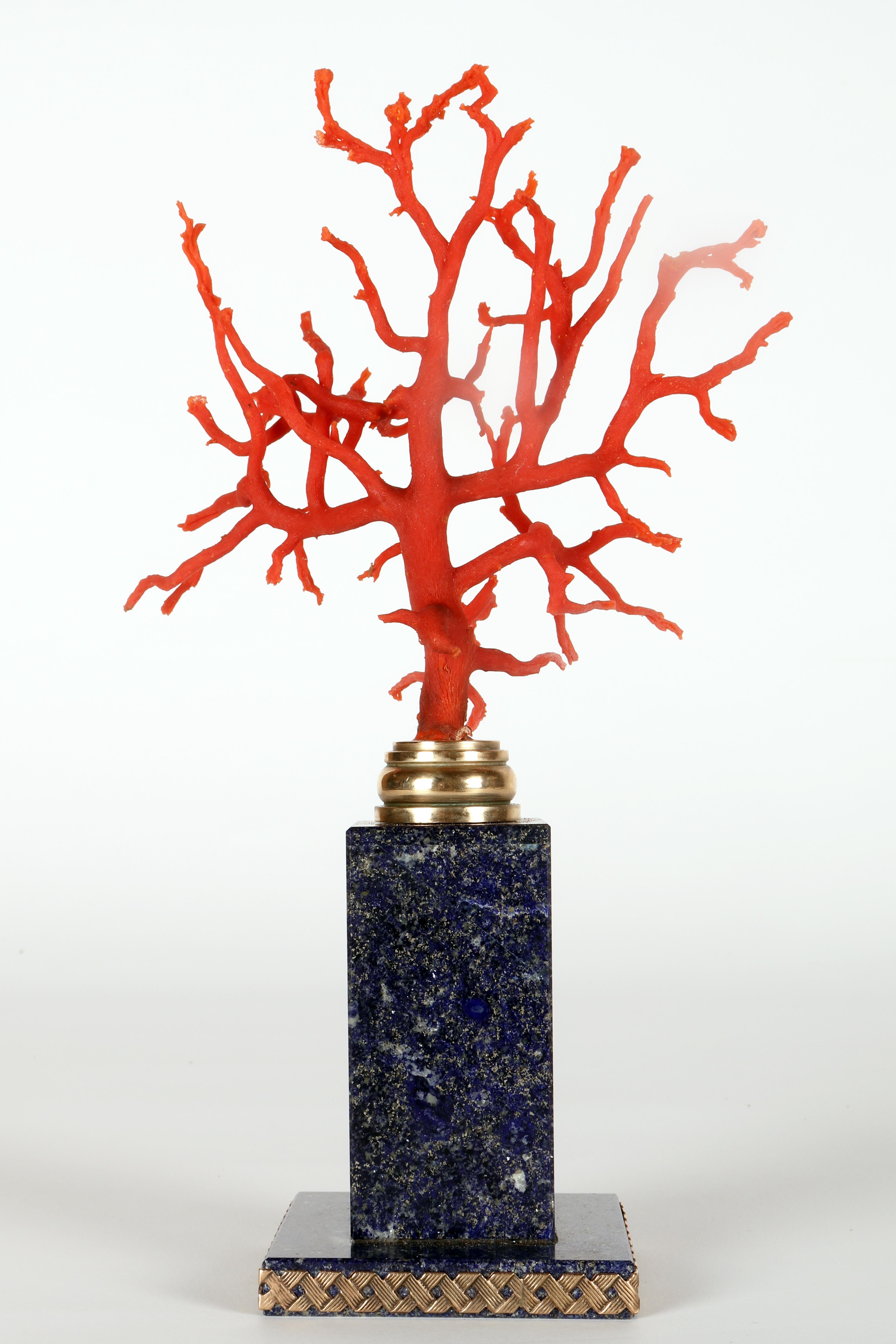 A branch of Mediterranean red coral on a lapis lazuli base, Italy 1880s. In Good Condition For Sale In Milan, IT
