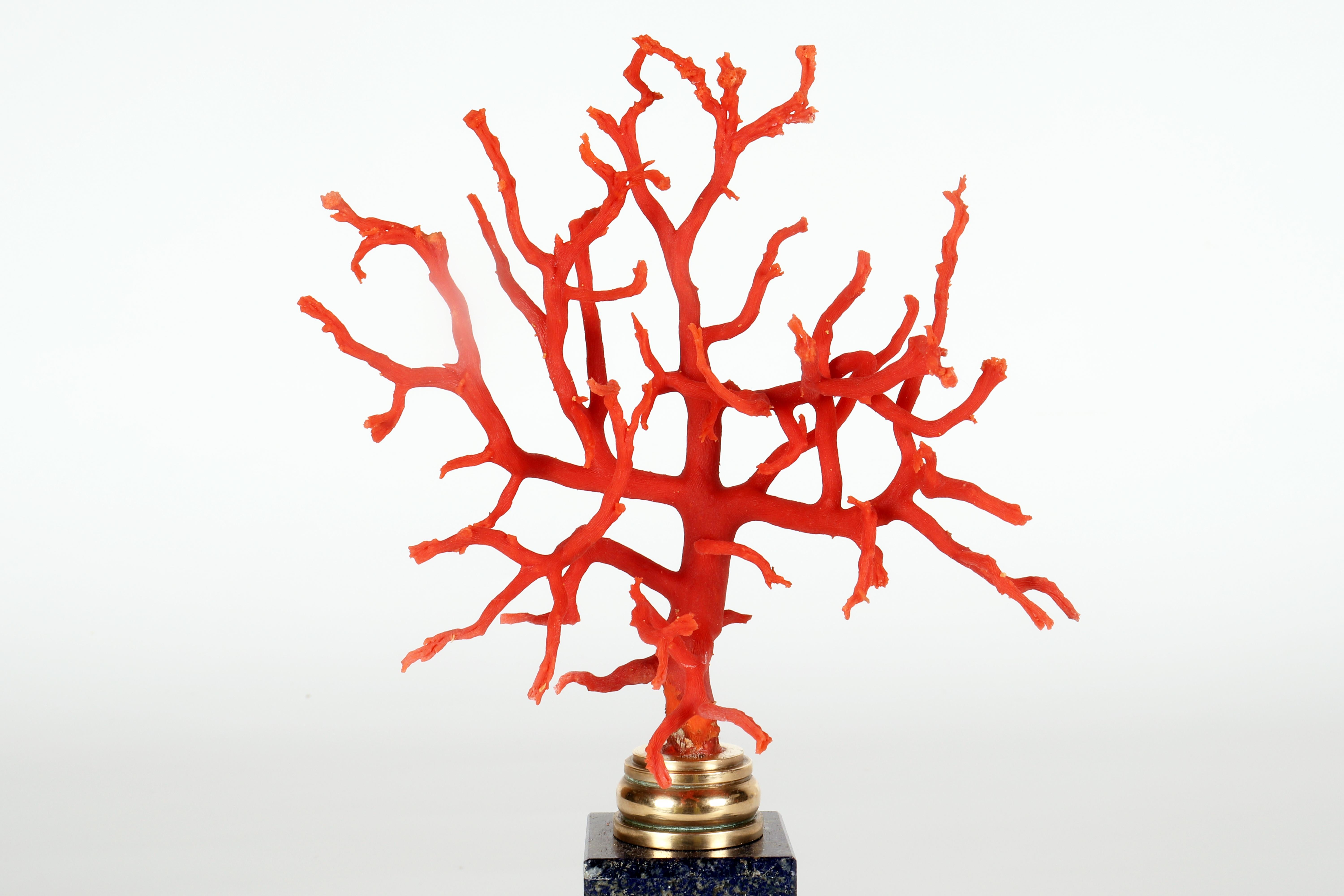 A branch of Mediterranean red coral on a lapis lazuli base, Italy 1880s. For Sale 1