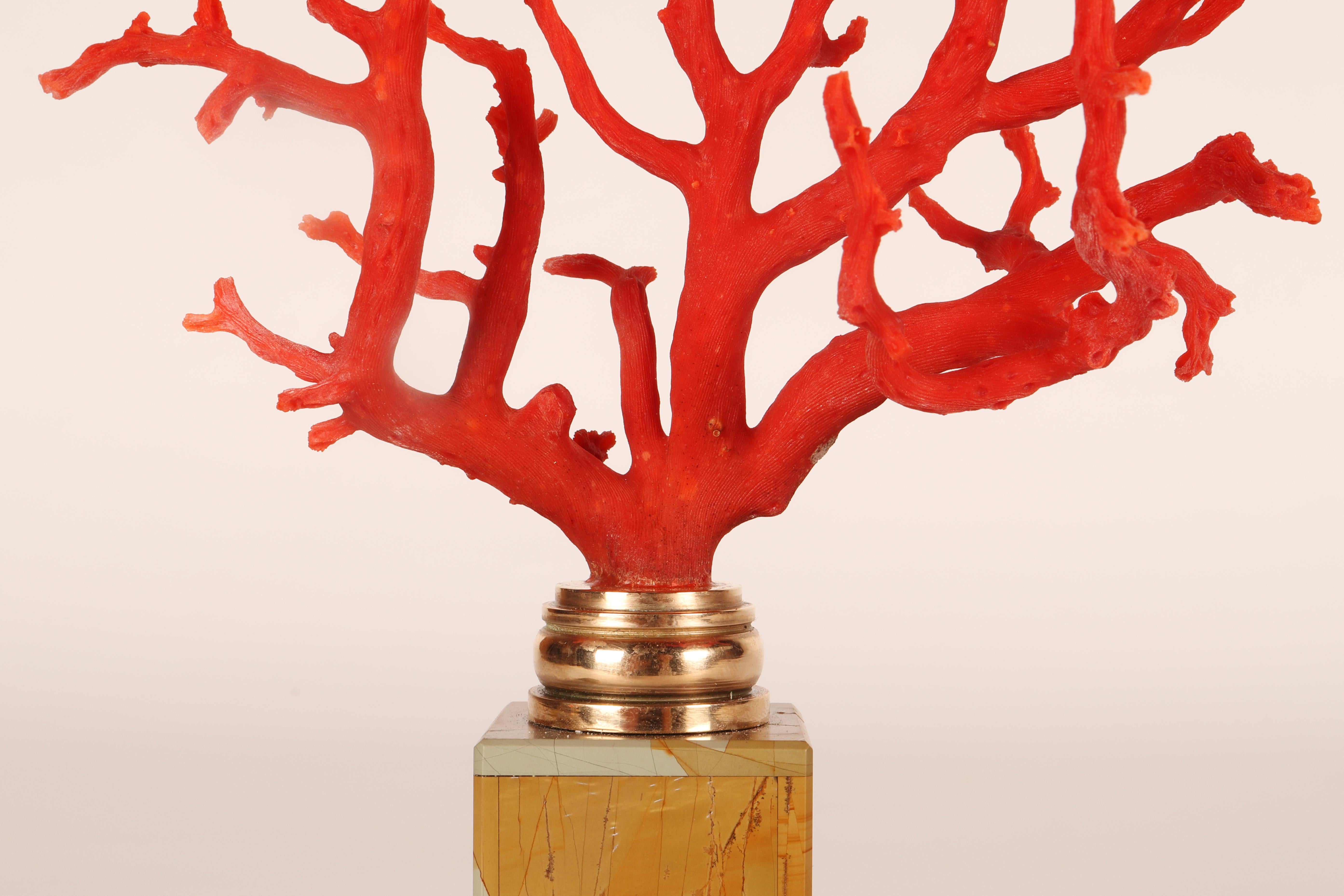 Ein Ast aus roter Mittelmeerkoralle auf einem Sockel aus Paesina-Stein, Italien, 1880er Jahre. im Angebot 4