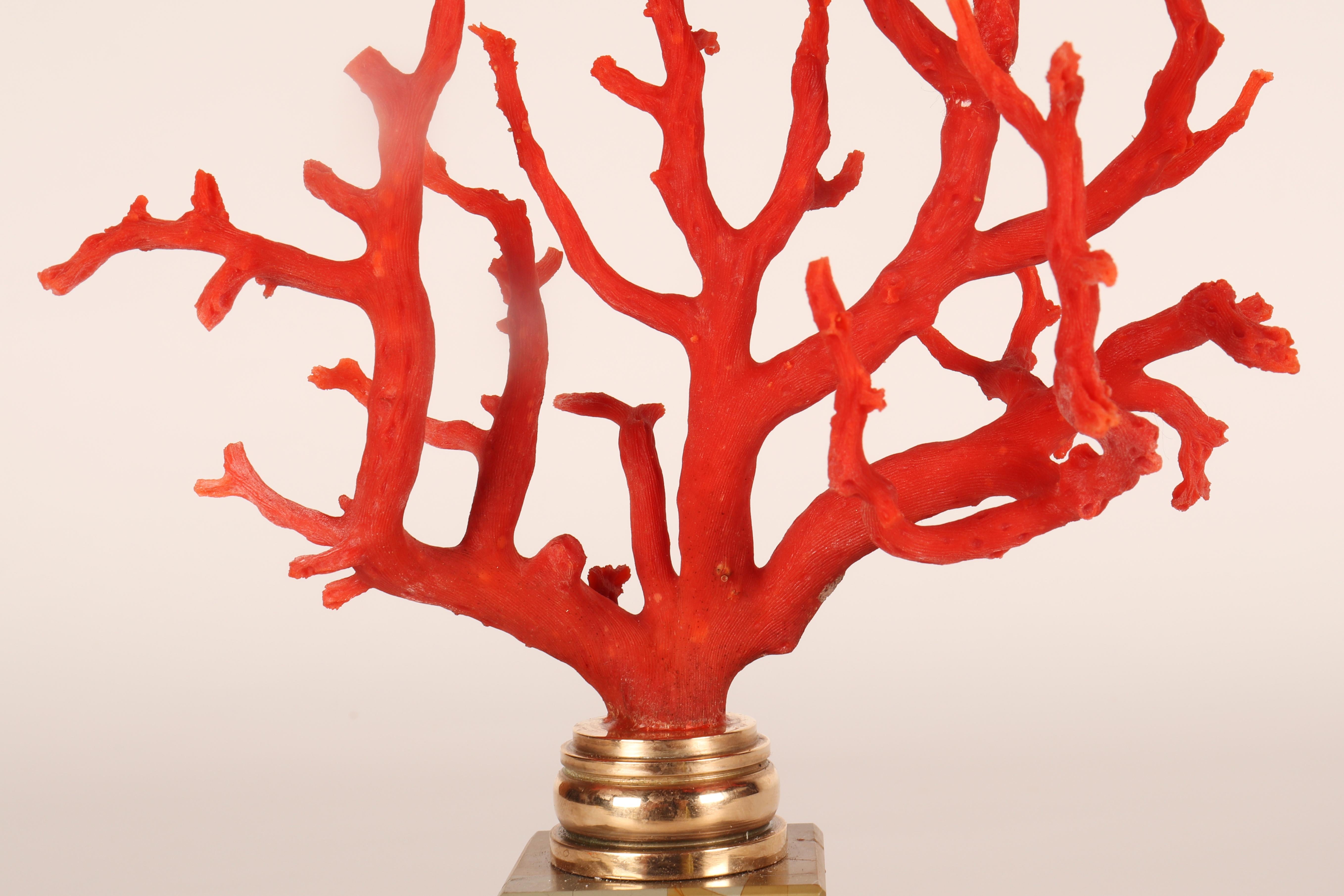 Ein Ast aus roter Mittelmeerkoralle auf einem Sockel aus Paesina-Stein, Italien, 1880er Jahre. im Angebot 5