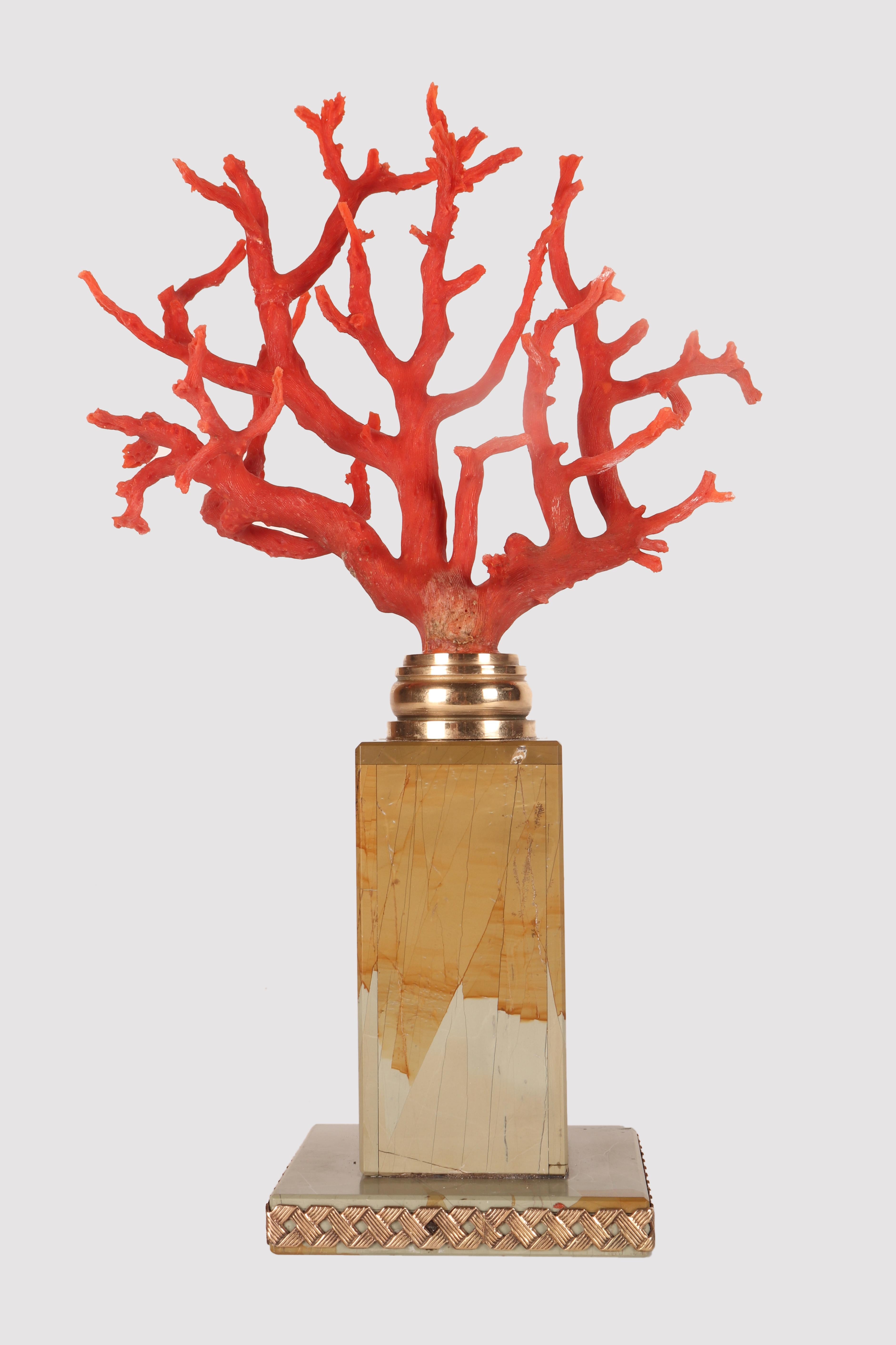 Branch aus roter Mittelmeerkoralle (Corallium Rubrum), montiert auf einem quadratischen Sockel aus Paesina-Stein, mit einem zentralen Körper in Form eines Parallelepipeds mit einem Bronzeprofil, das an der Basis verflochten ist. Schließlich ein