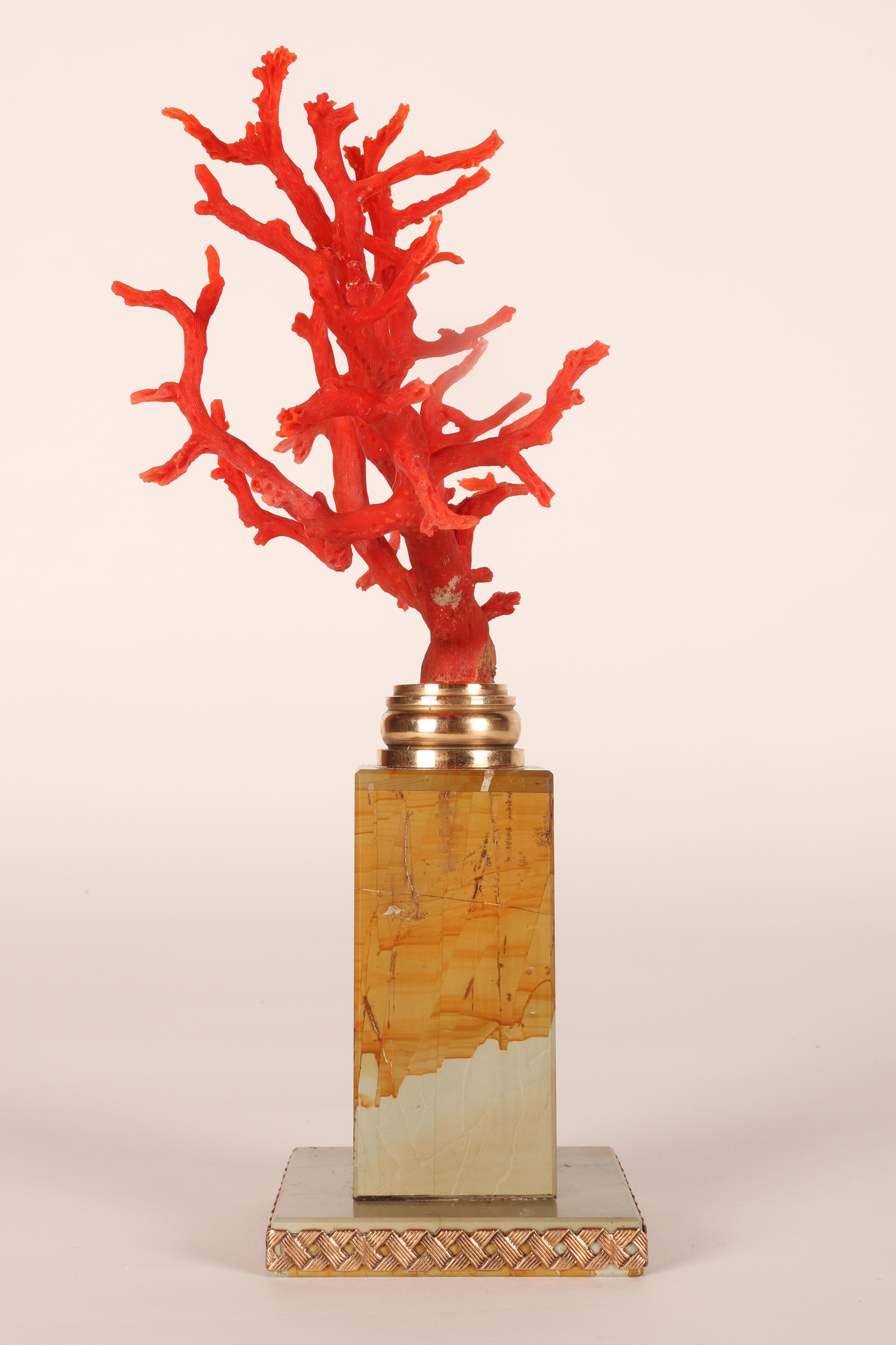 Ein Ast aus roter Mittelmeerkoralle auf einem Sockel aus Paesina-Stein, Italien, 1880er Jahre. (19. Jahrhundert) im Angebot