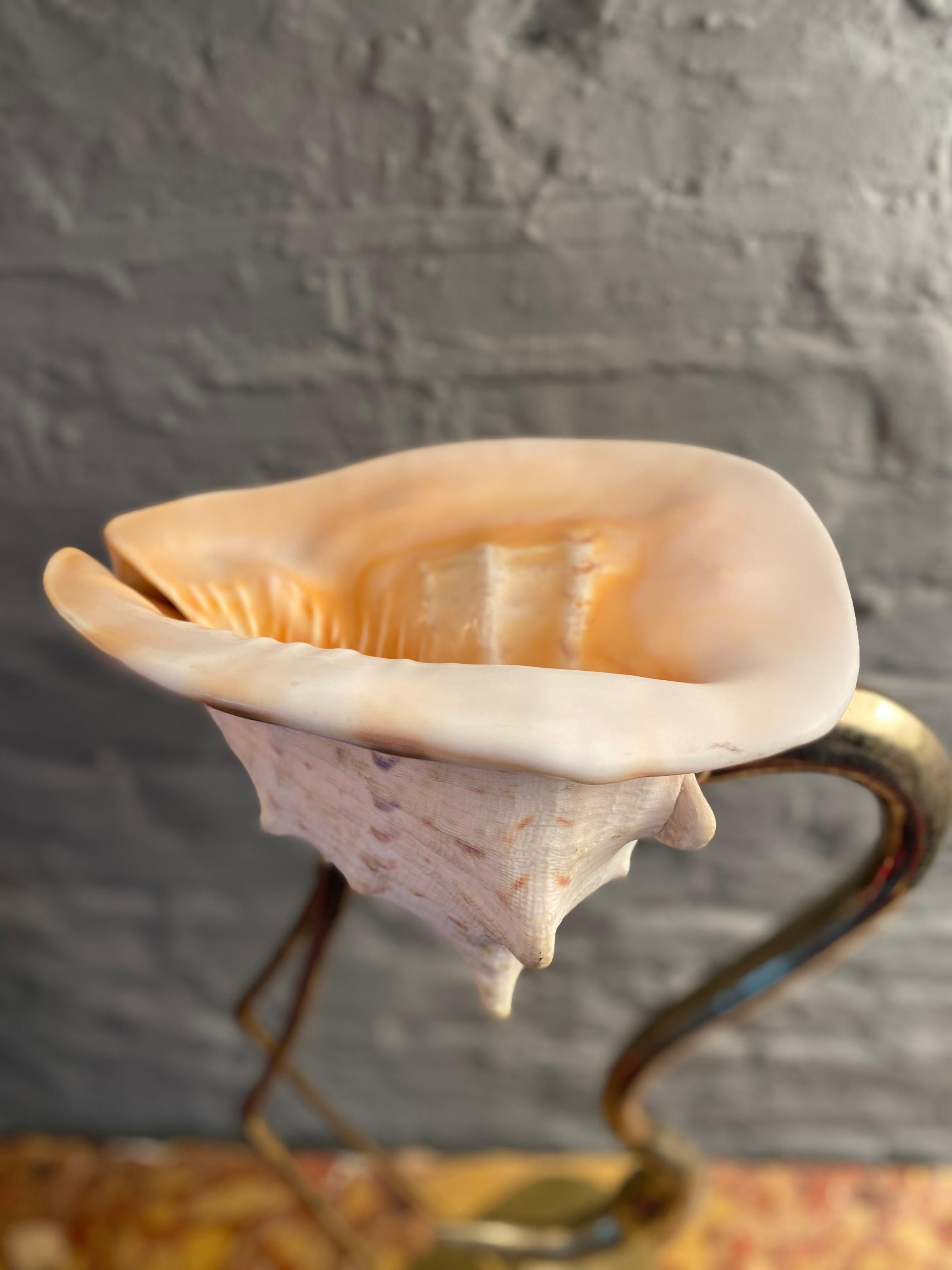 Brass and Shell Flamingo by Gabriella Binazzi Florence 7