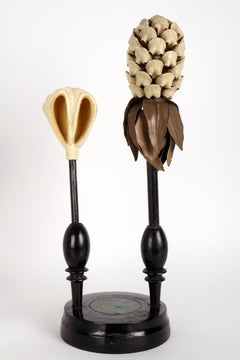 Brendel botanisches Modell: Scotch Fir, Deutschland, 1900