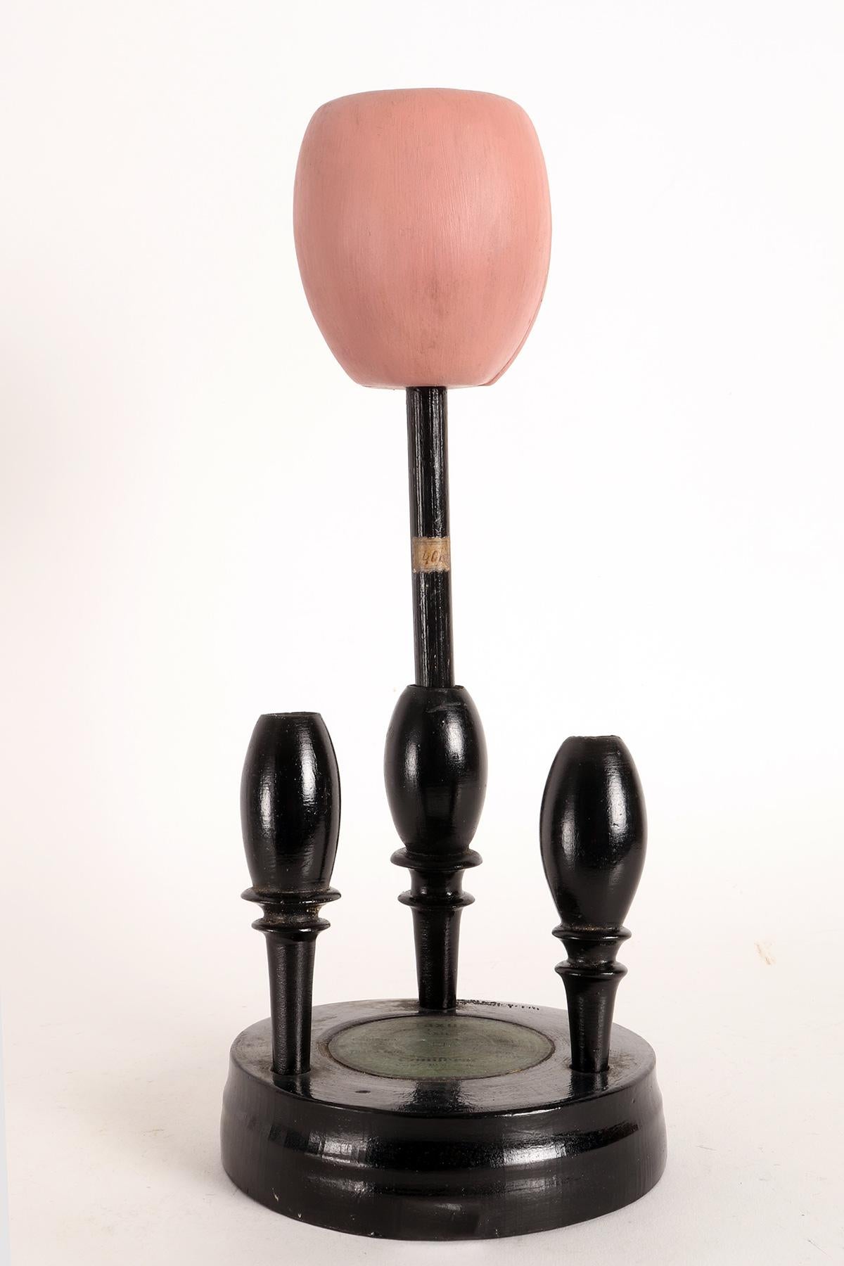 20th Century A Brendel botanic model: Taxus-Yew, Germany 1900. For Sale