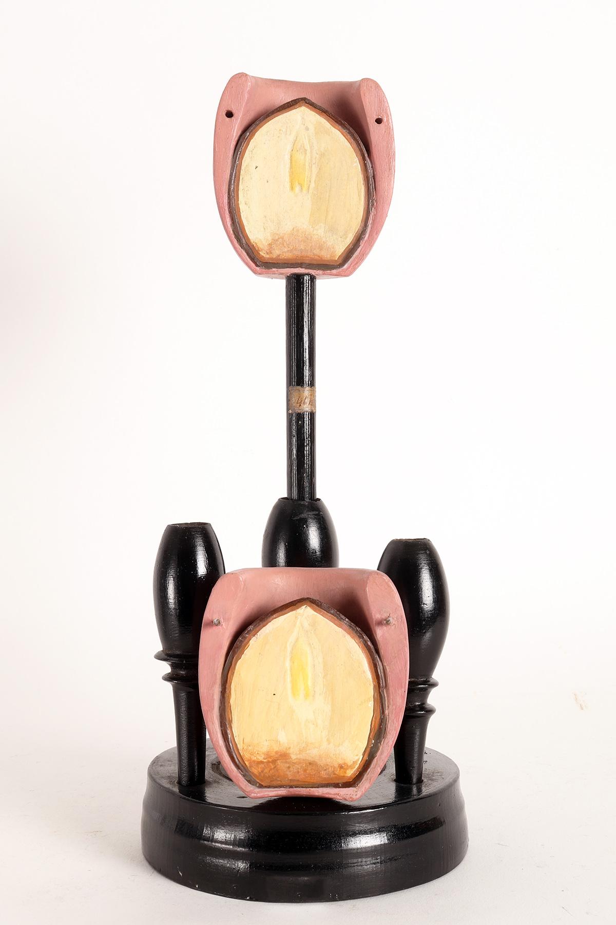 Wood A Brendel botanic model: Taxus-Yew, Germany 1900. For Sale