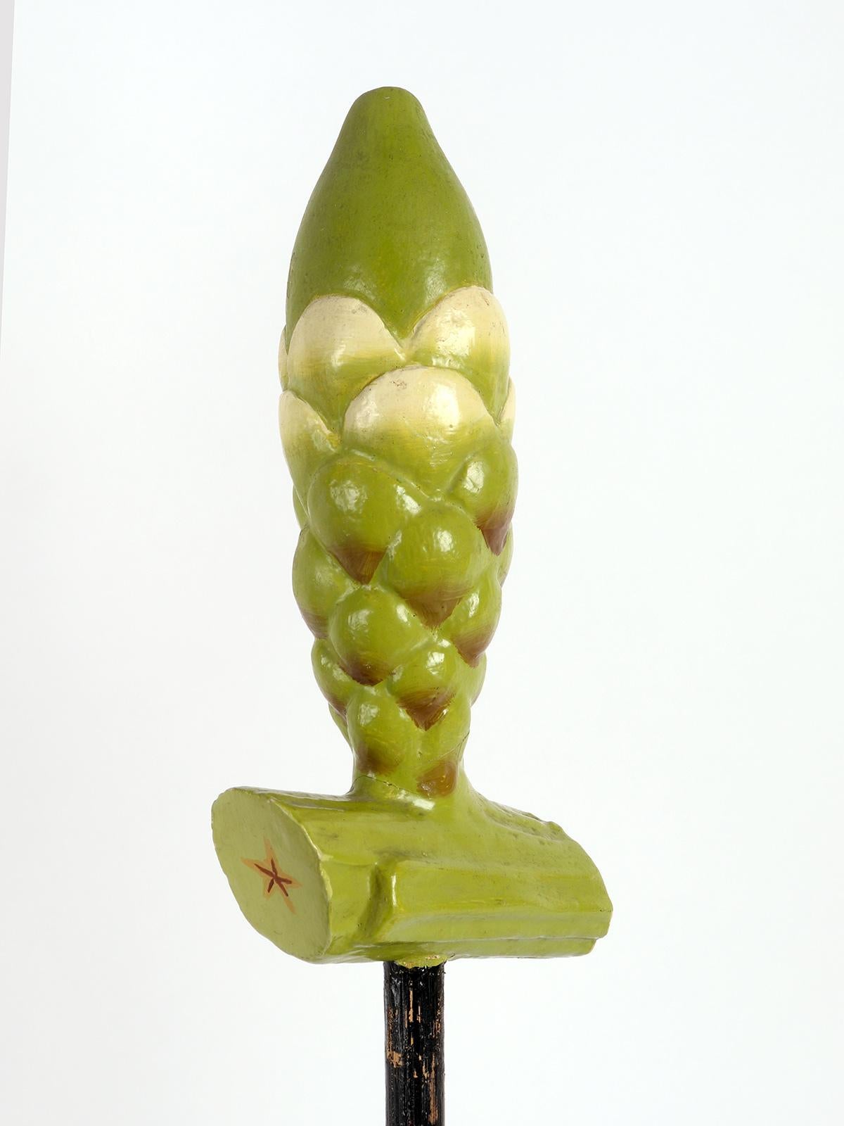 Legno Un modello botanico di Brendel: Taxus-Yew, Germania 1900. in vendita